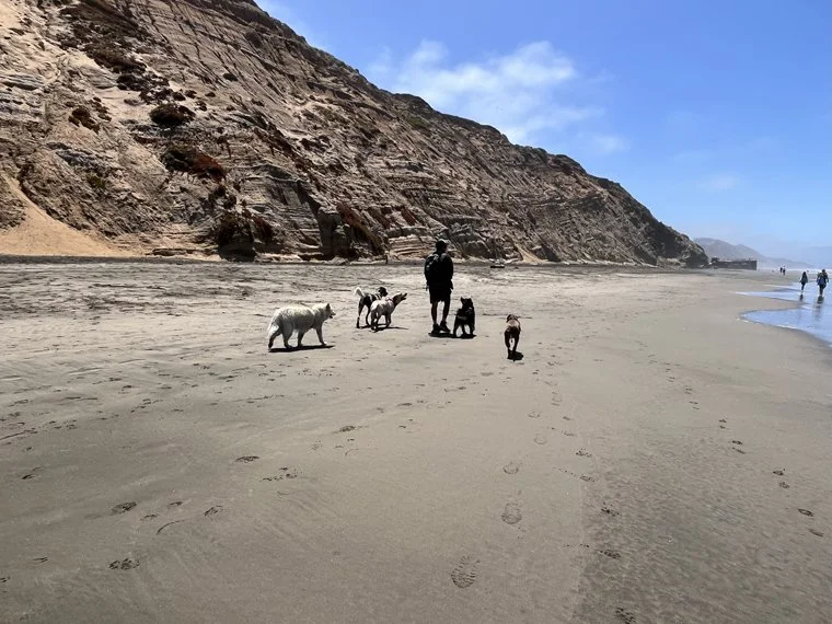 Beach 8.jpg