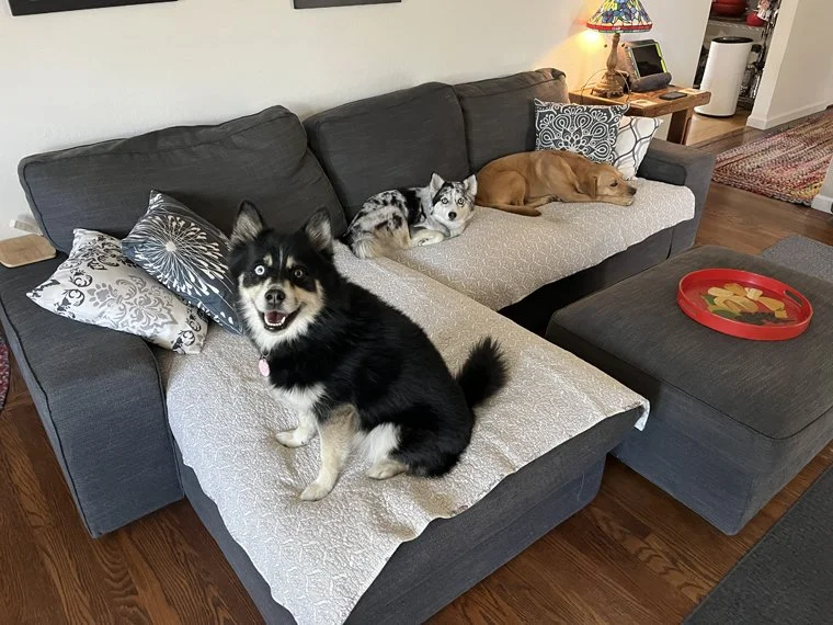 Georgia, Camara & Harper.jpg
