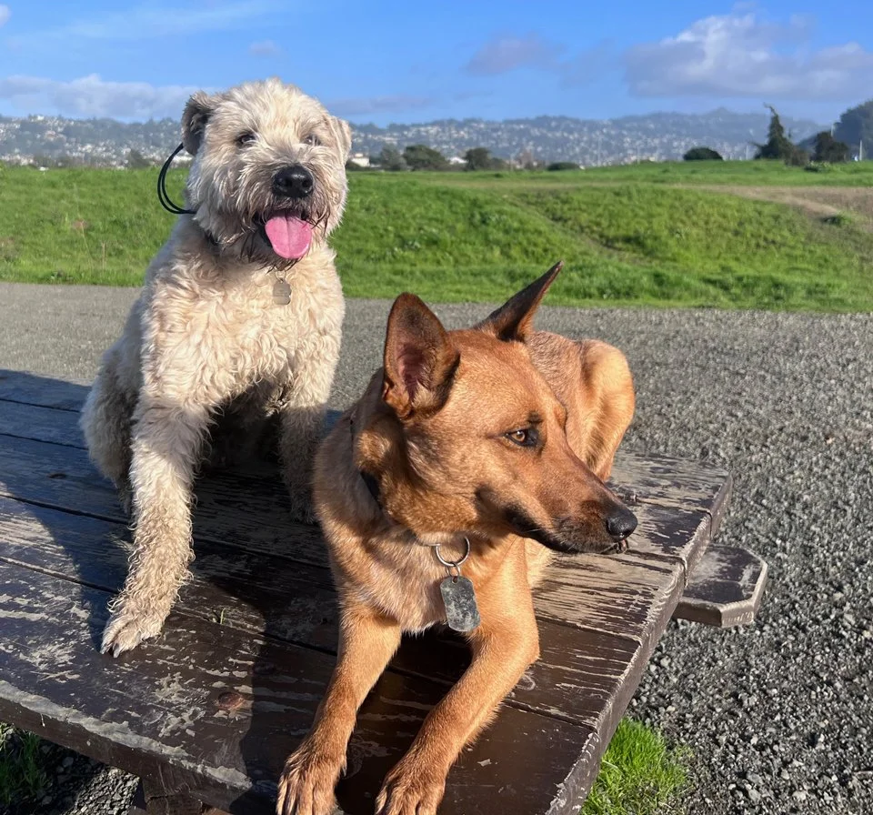 Aiden and Maya