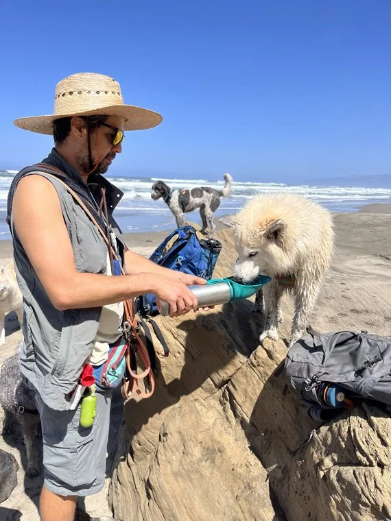 Tito, owner of Paw Tracks East Bay