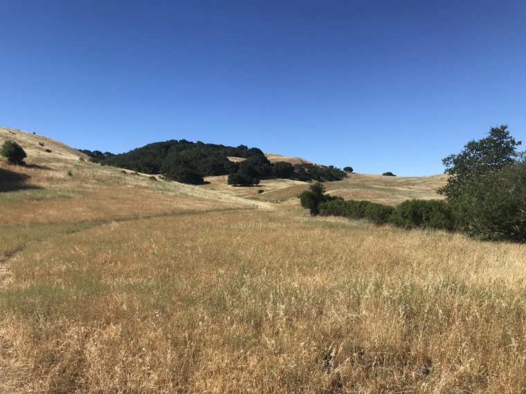 briones 2.jpg