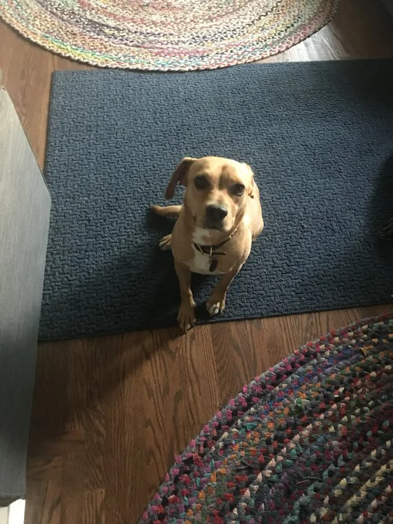 Harper
