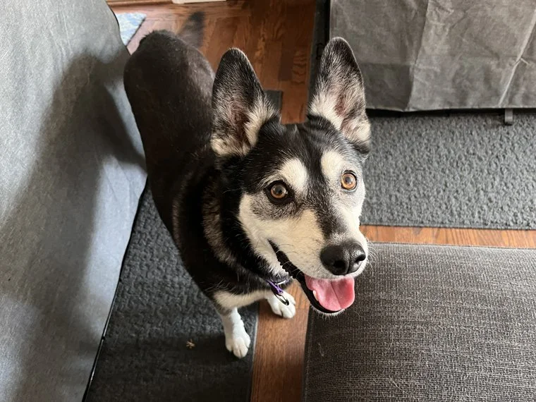 Kaylee 1.jpg