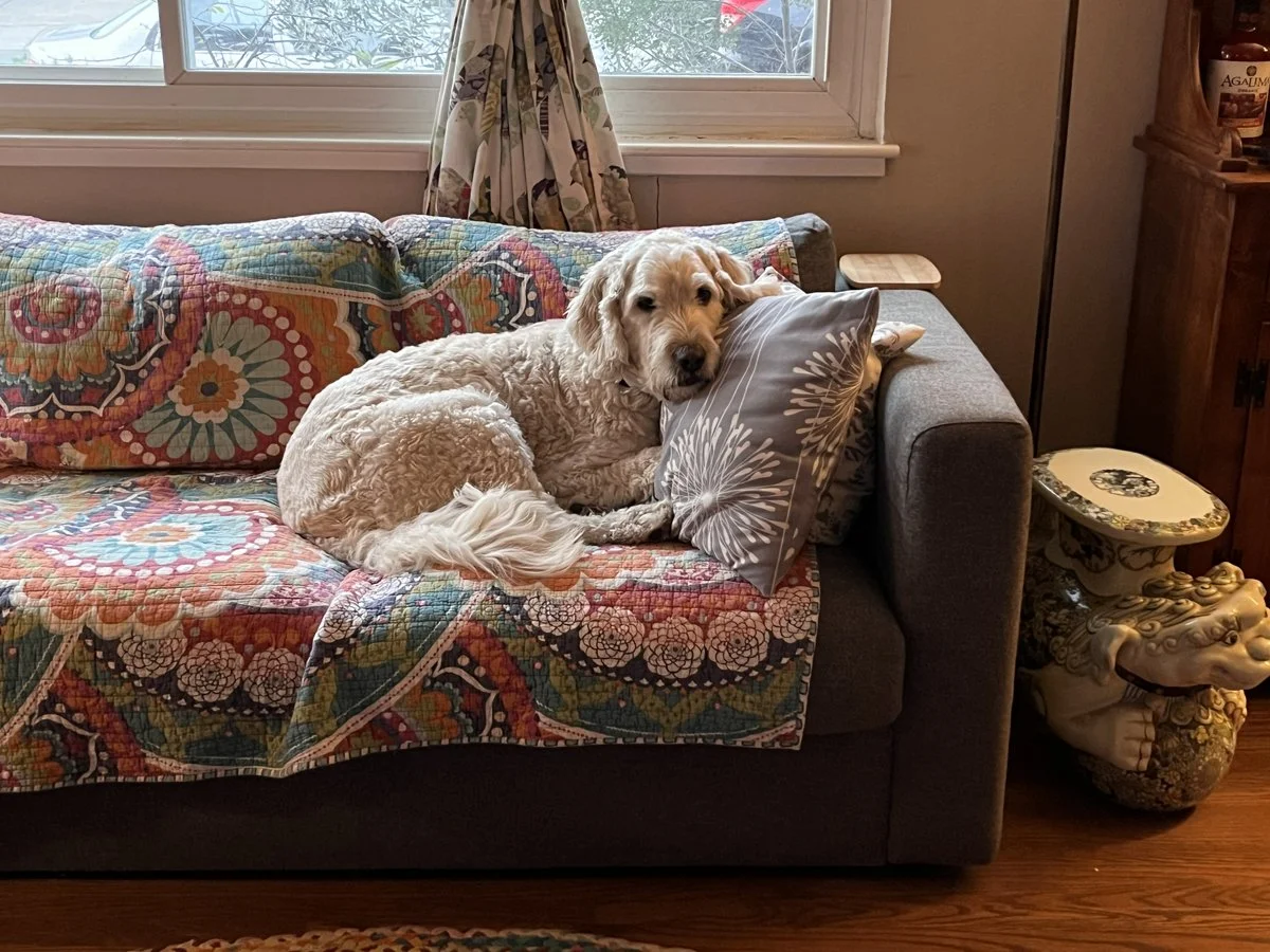Hobbes.jpg