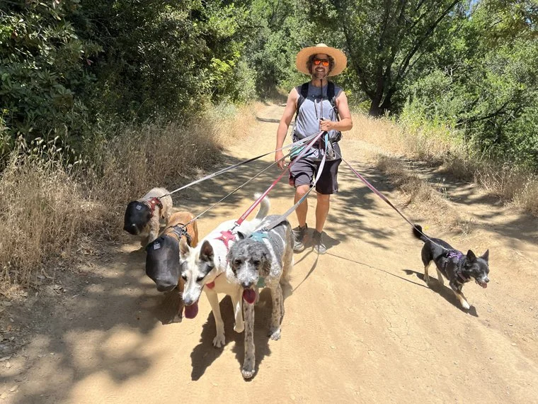Hiking w_dogs 23.jpg