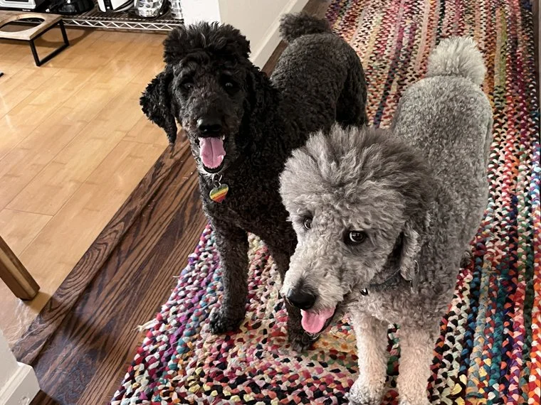 Bennett & Baxter