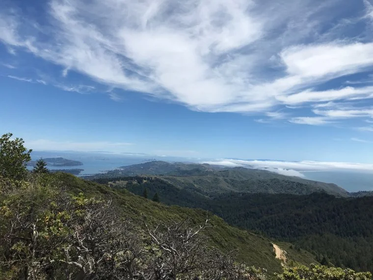 bay view 1.jpg