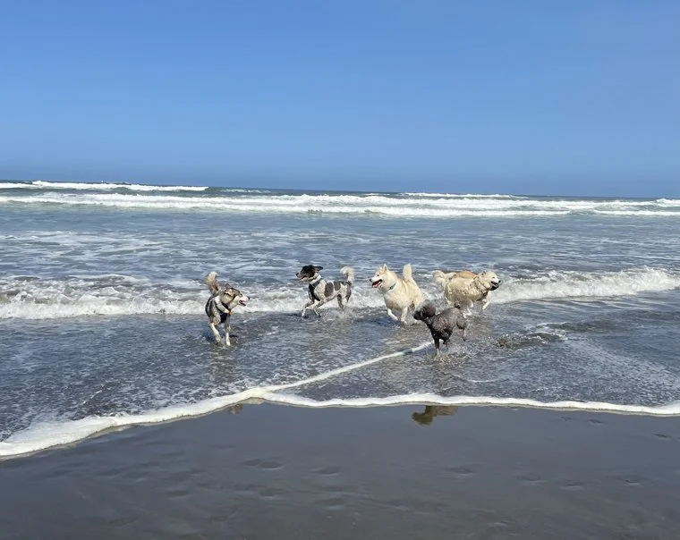 beach 5.jpg