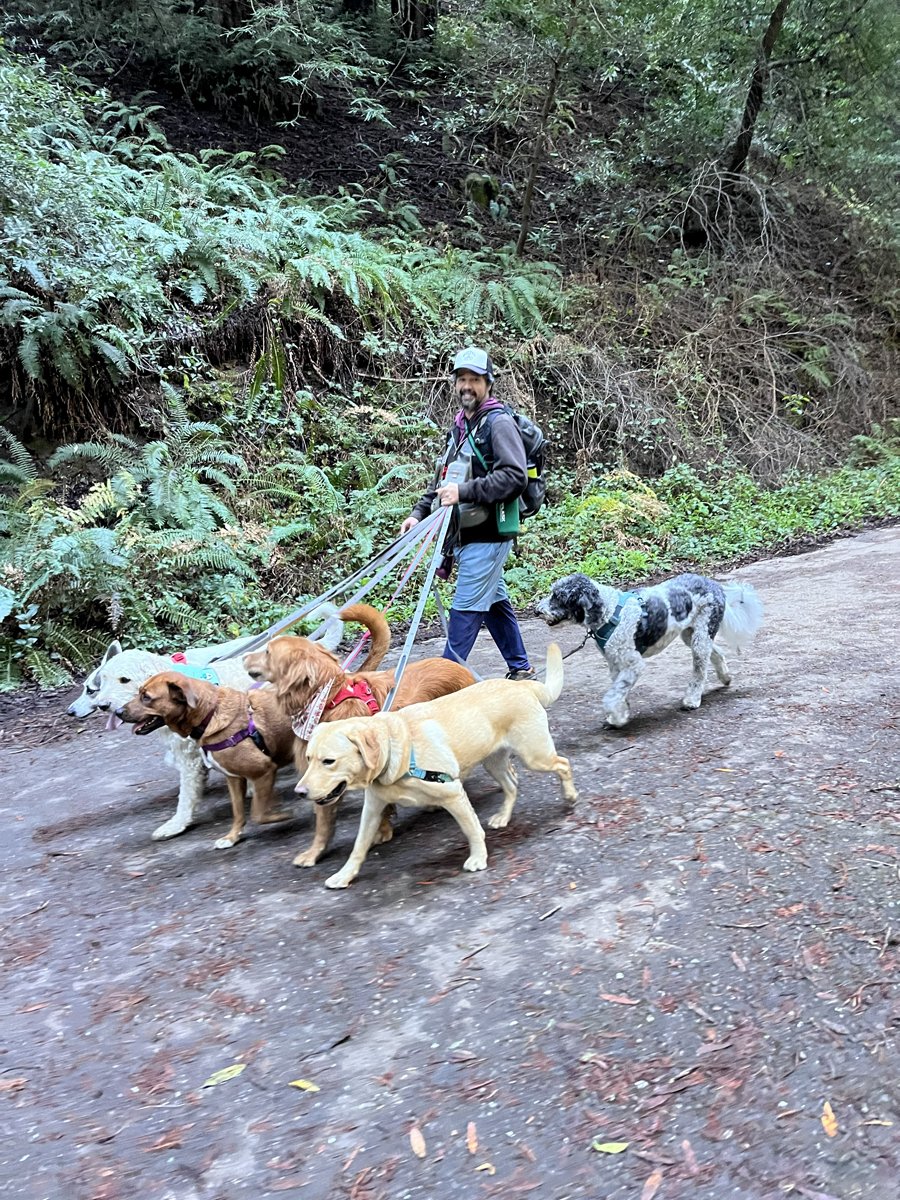Redwoods2.jpg