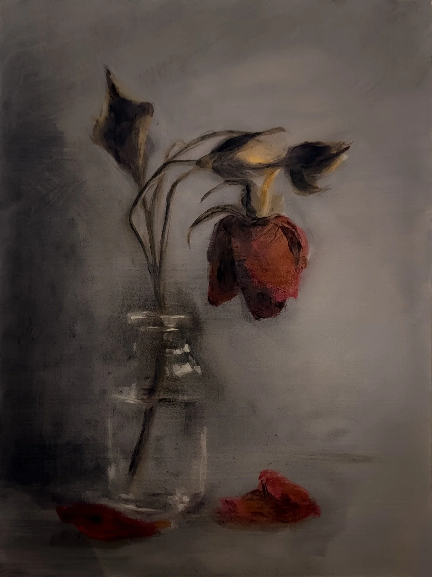 Floral Study No. 13 &mdash; Series II: Elegy
Oil on hardboard &bull; 6 &times; 8 in &bull; February 2026

By Jennifer Parisi
&hearts;︎ Link in bio

Thank you for supporting my work 🫶🏻
xo, Jenn

#floralart #oilpainting #contemporaryart #stilllife #m