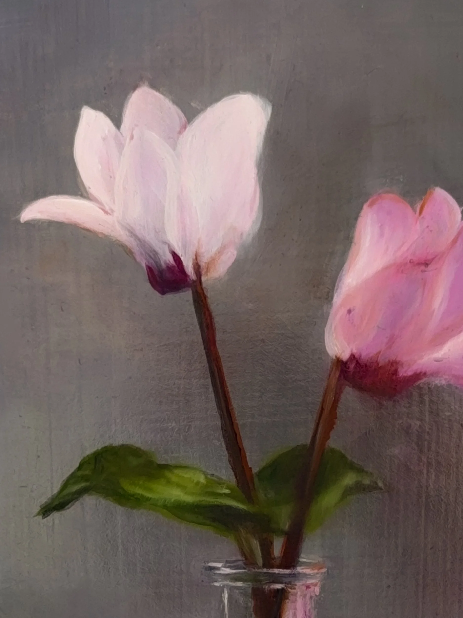 Floral Study No. 16 - Oil on Hardboard, 6 x 8 in, April 2026, Cyclamen-2.jpg