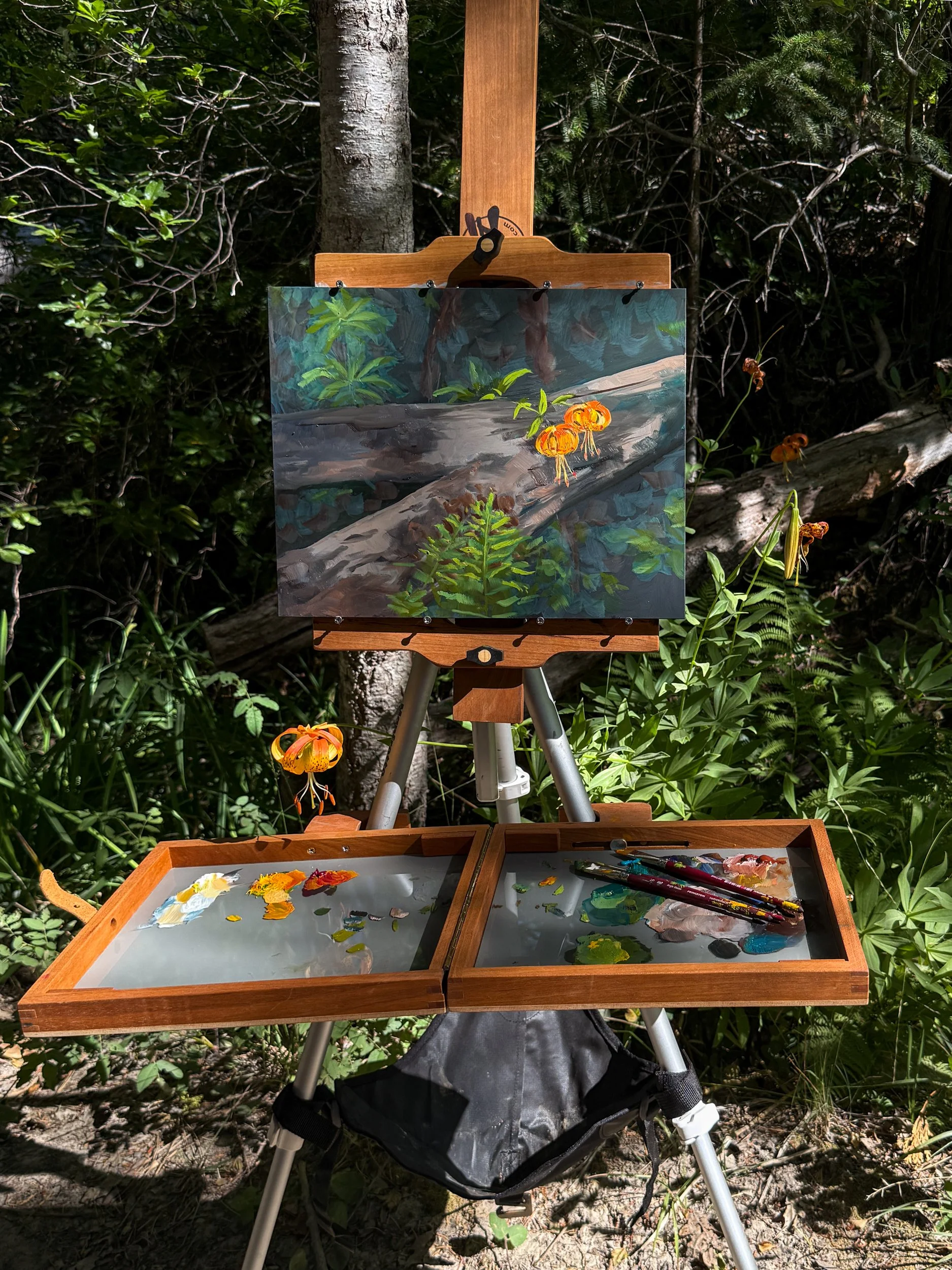 Plein Air - Scotts Flat Trail, CA | Oil on Canvas Panel | 11 x 14 inches