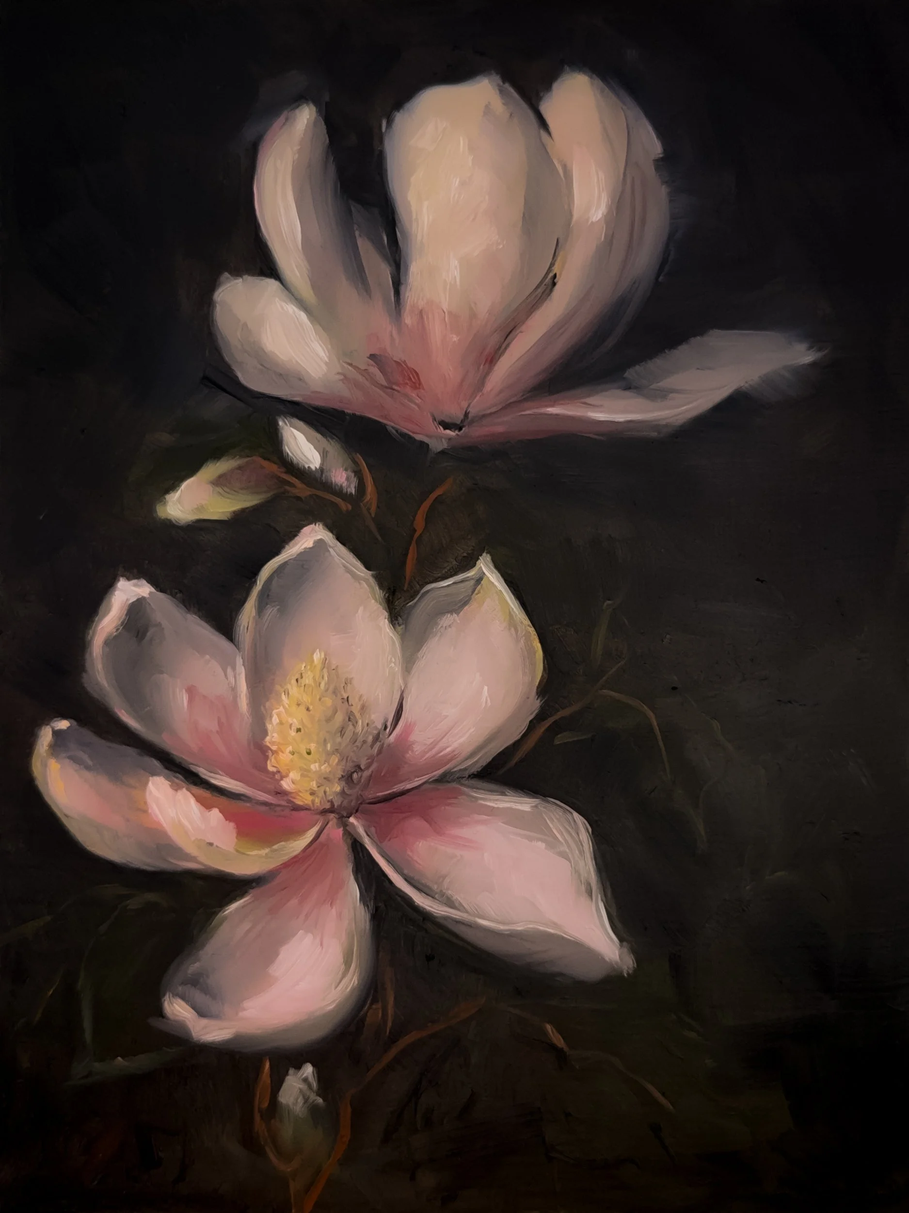 Floral Study No. 8 | Oil on Canvas | 6 x 8 inches