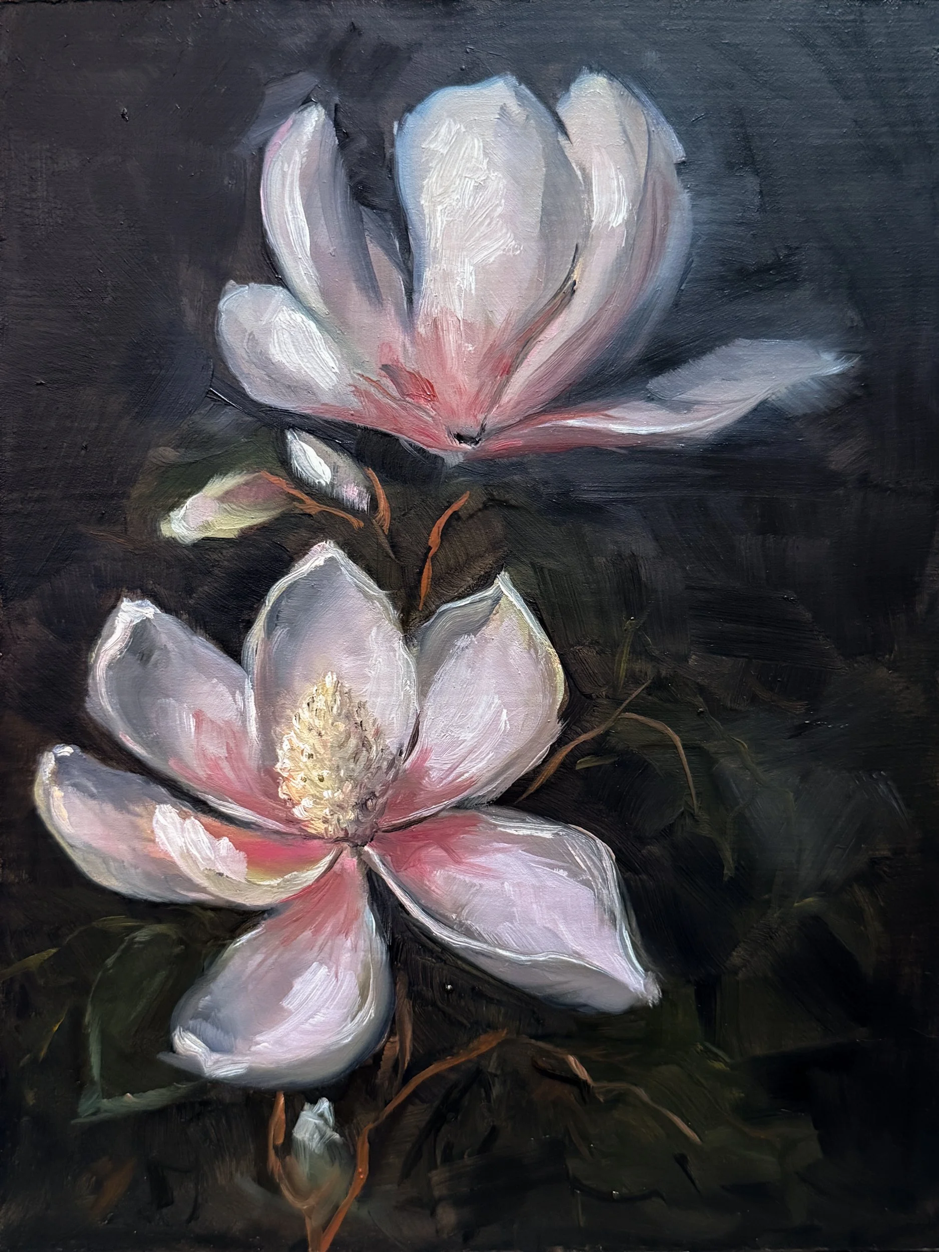 Floral Study No. 8 - Oil on Hardboard, 6 x 8 in, January 2026-3.jpg