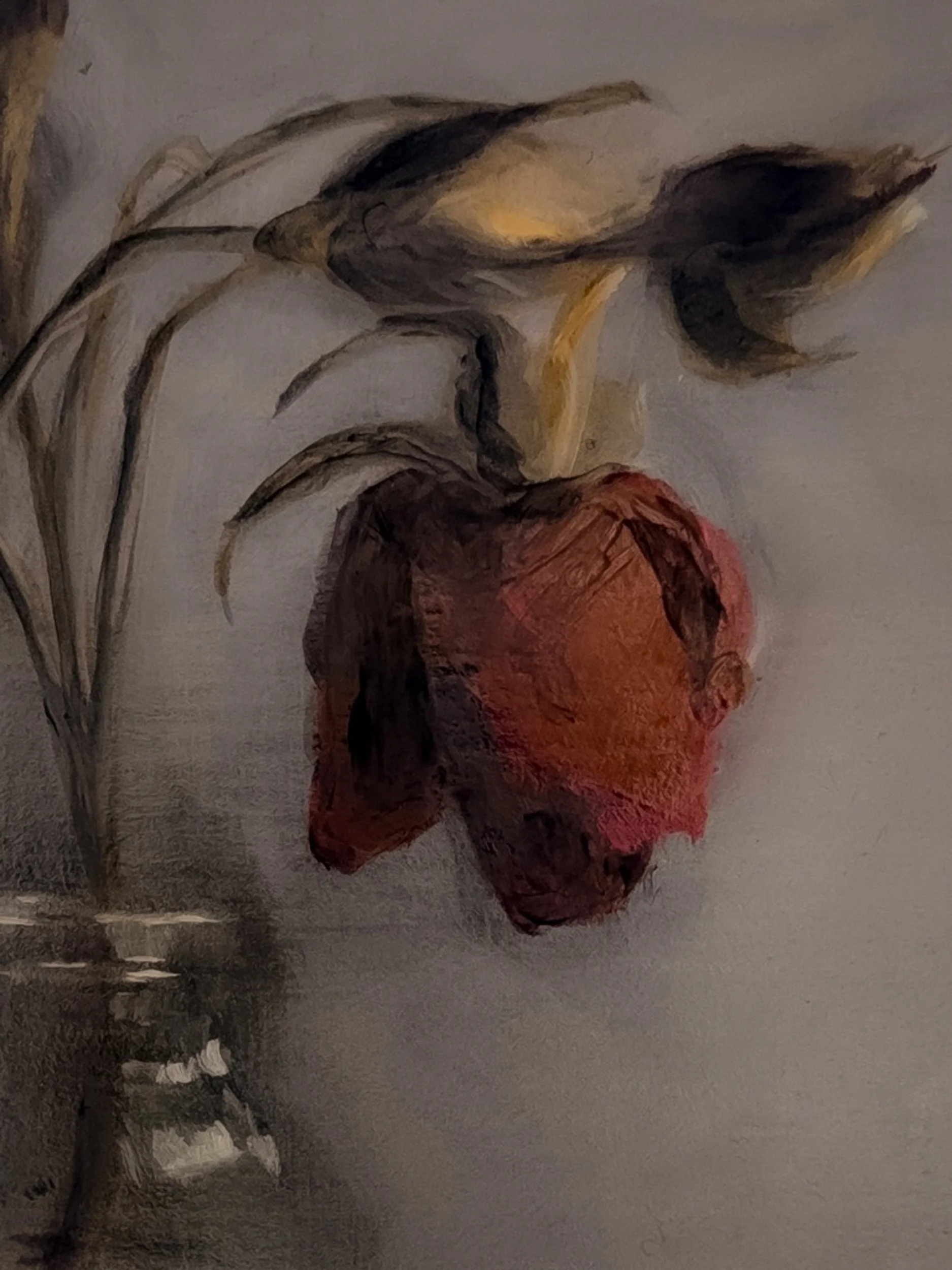 Floral Study No. 13 - Oil on Hardboard, 6 x 8 in, February 2026, Jennifer Parisi-4.jpg