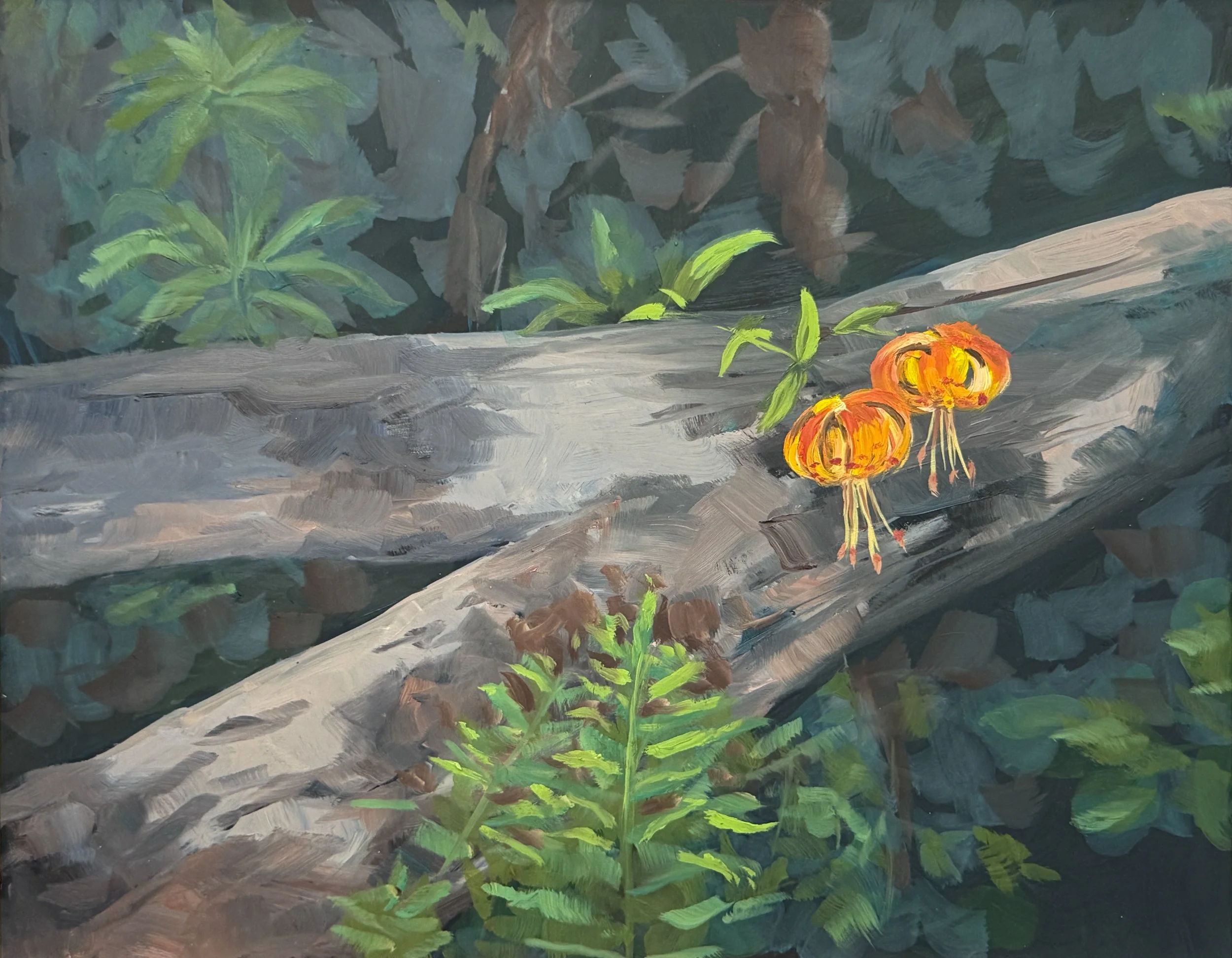 Scotts Flat Trail, CA.jpg