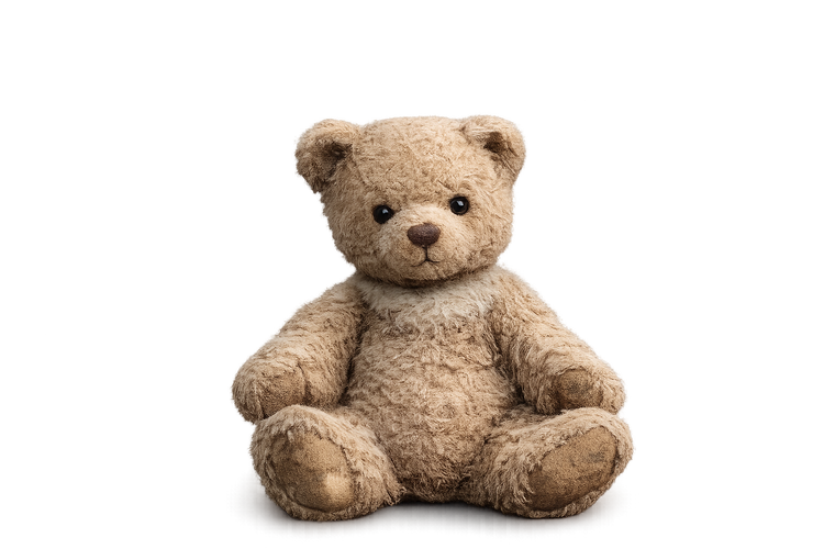 A well-loved teddy bear