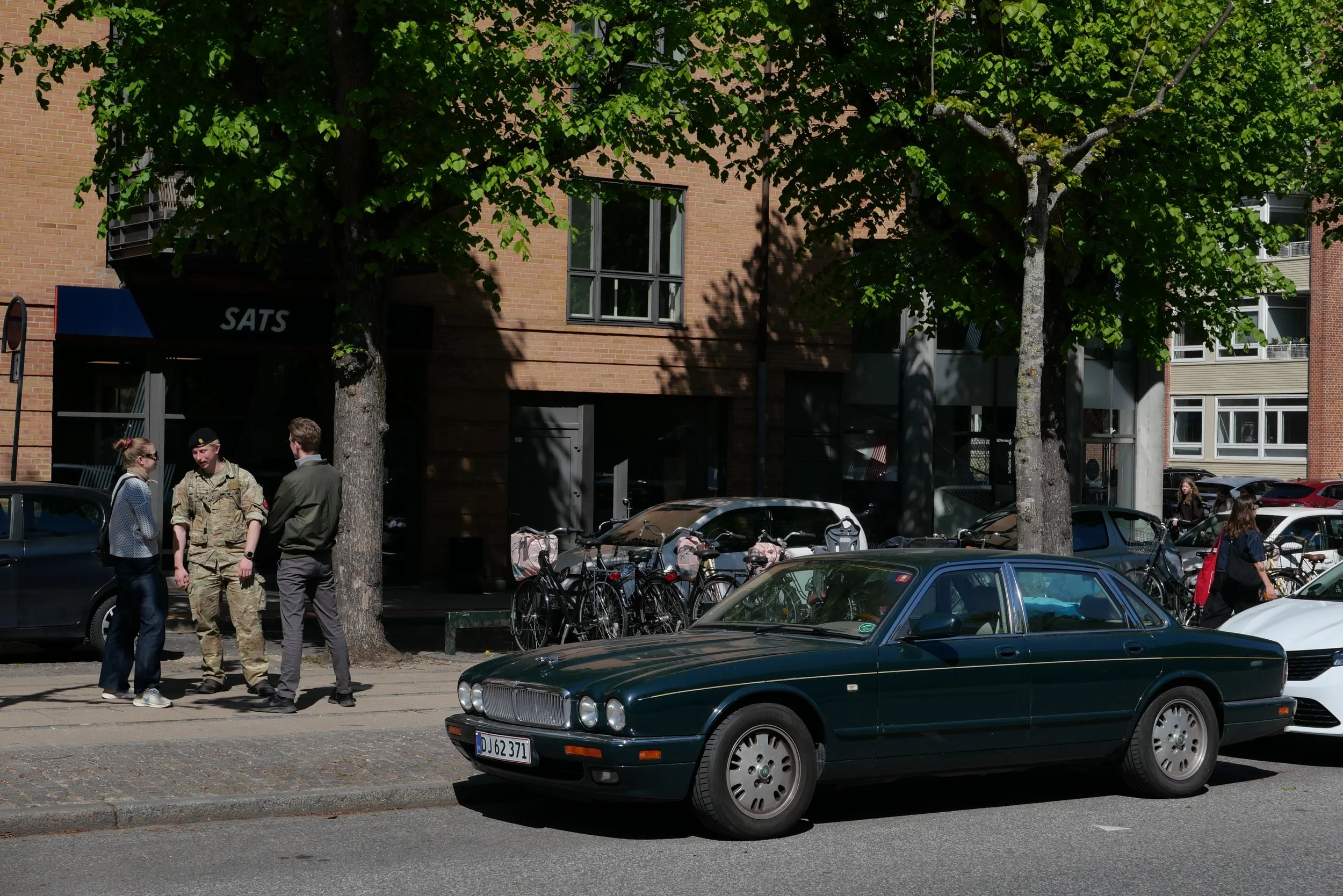 S1020416.jpeg