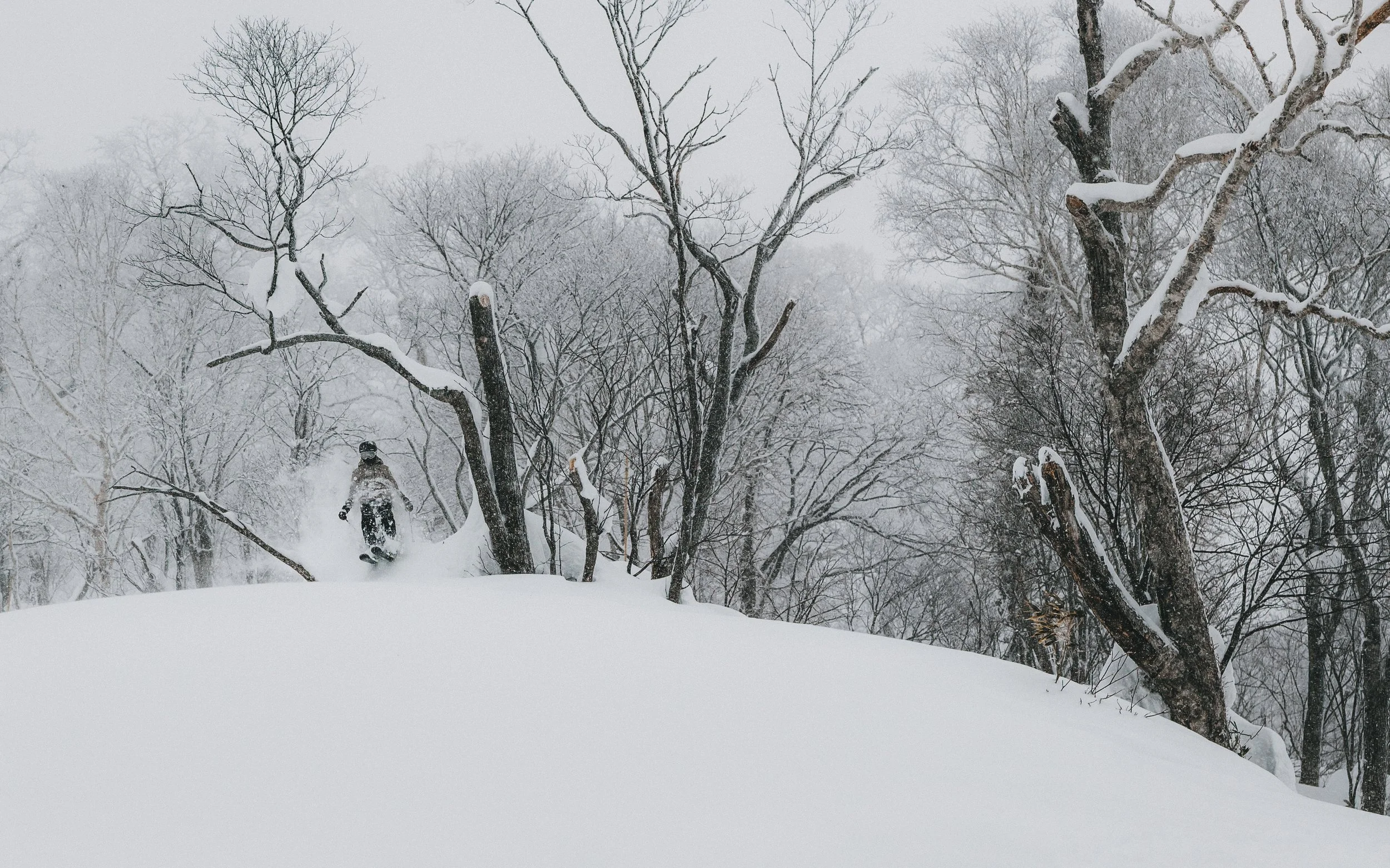 A person skiing downhill through a snow-covered forest with bare trees and snow falling.