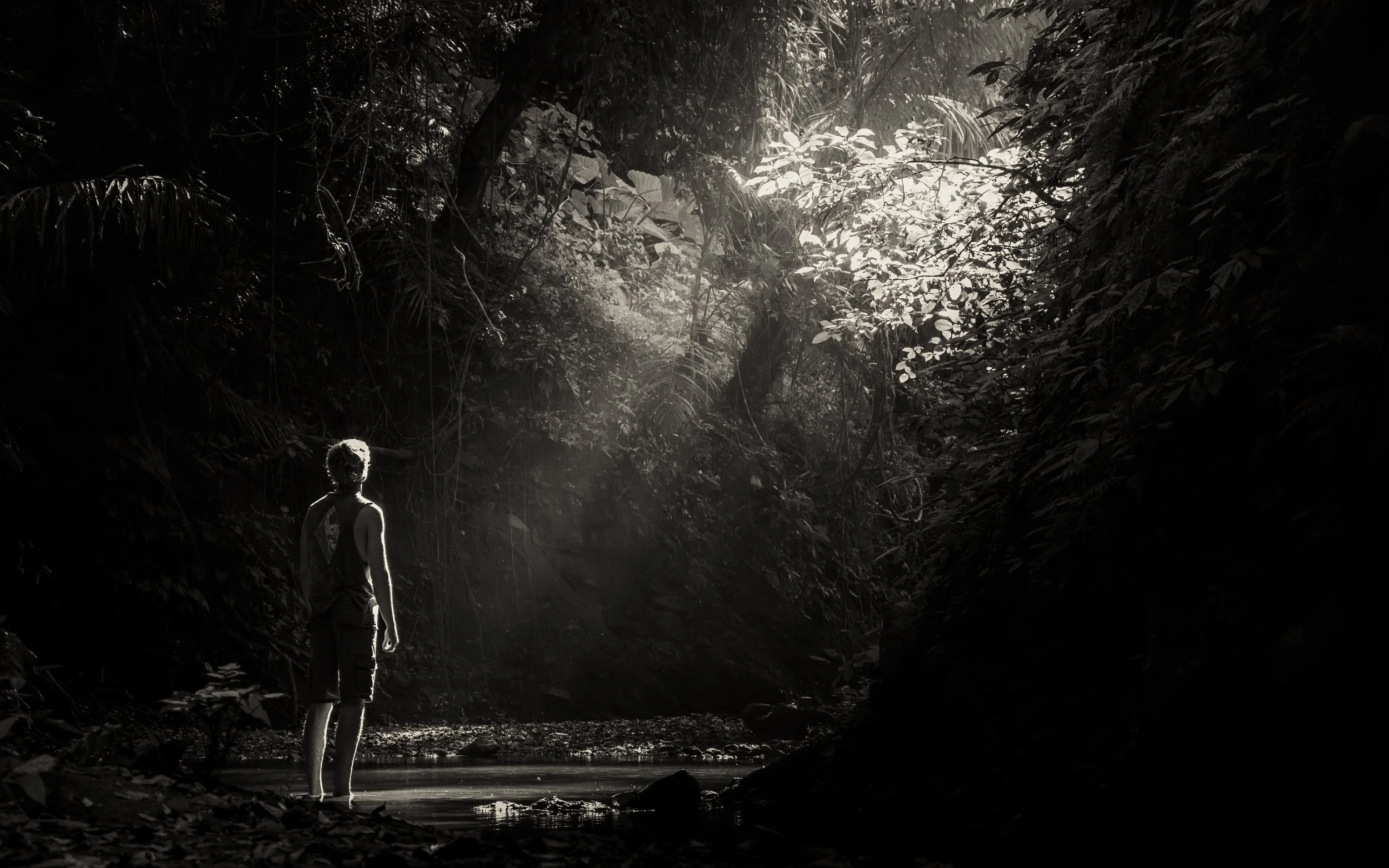 A person standing barefoot in a stream in a dense jungle, with sunlight filtering through the trees.