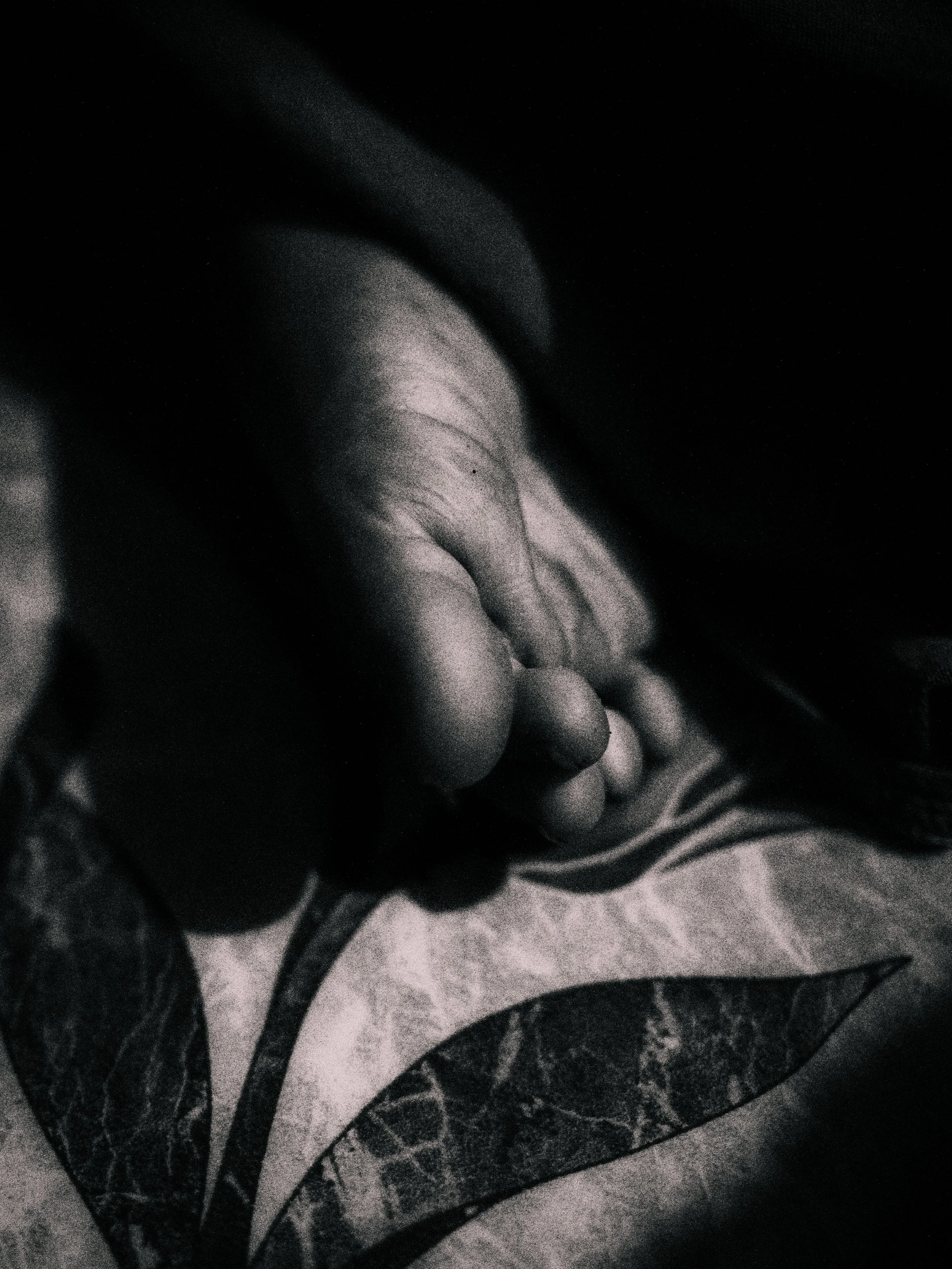 A black and white photograph of a person's hand resting on a piece of fabric with leaf patterns.