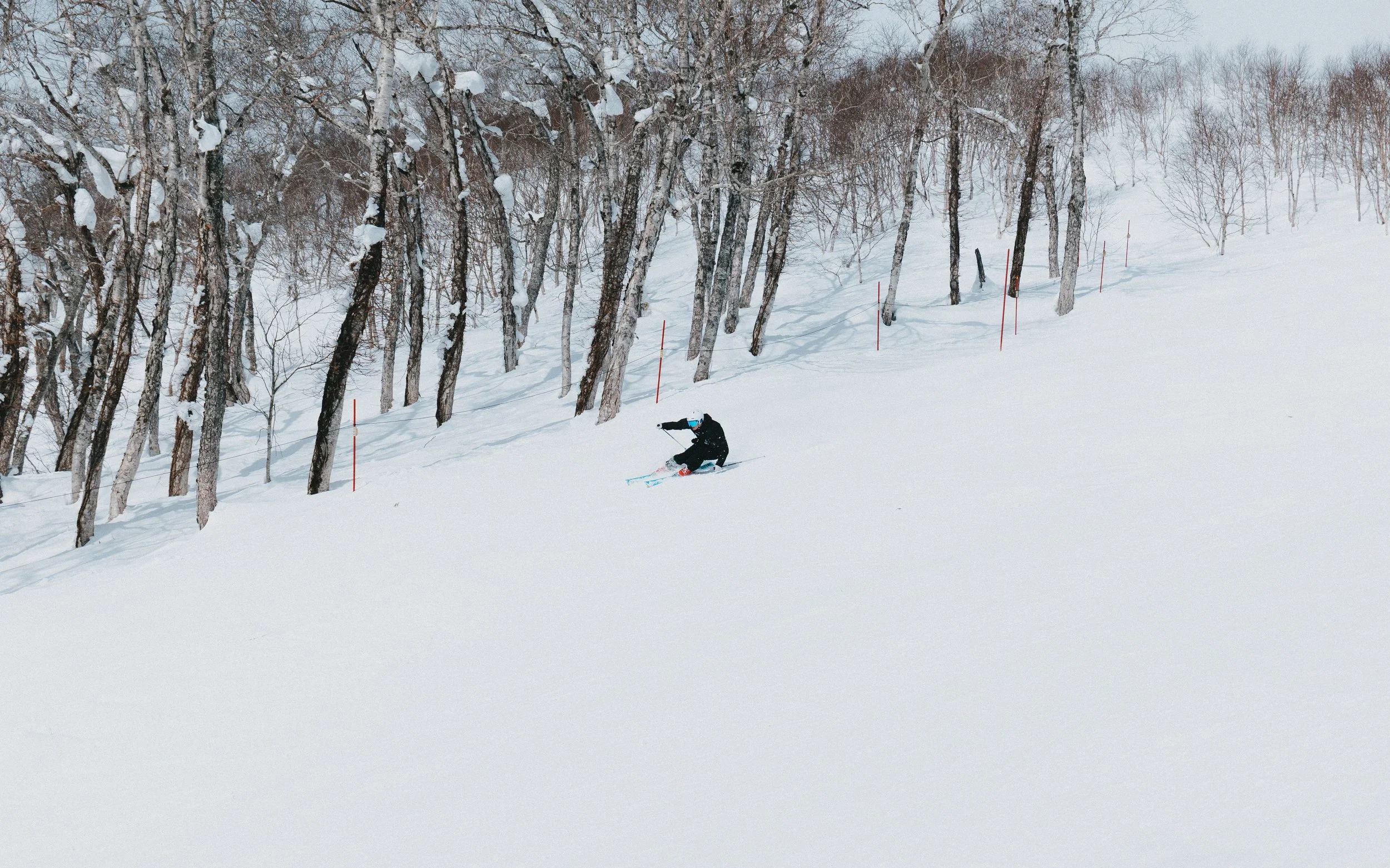 A skier wearing a black outfit and helmet skiing down a snowy slope near a line of snow-covered trees.