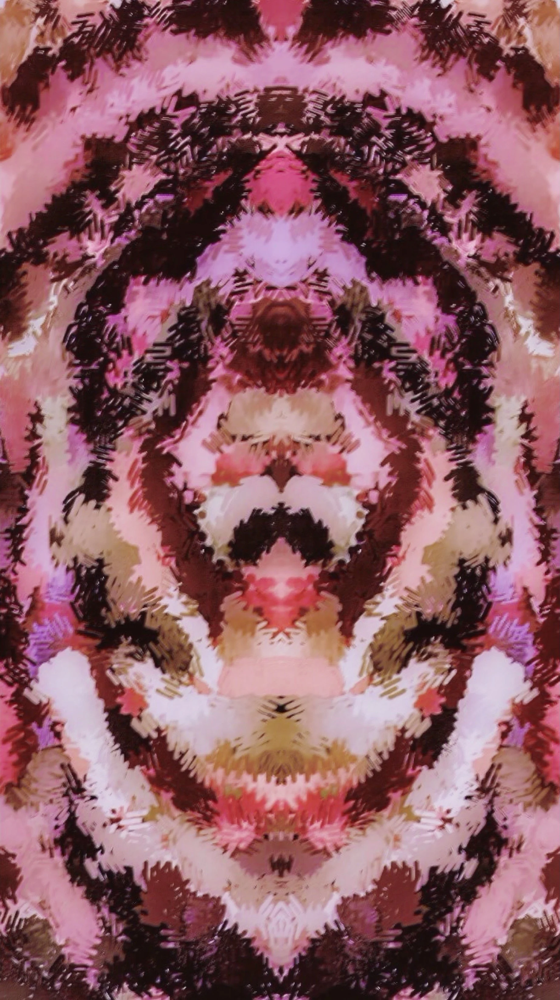 BEDC1914-3FC7-4388-AF74-F884BB90E91A.jpeg