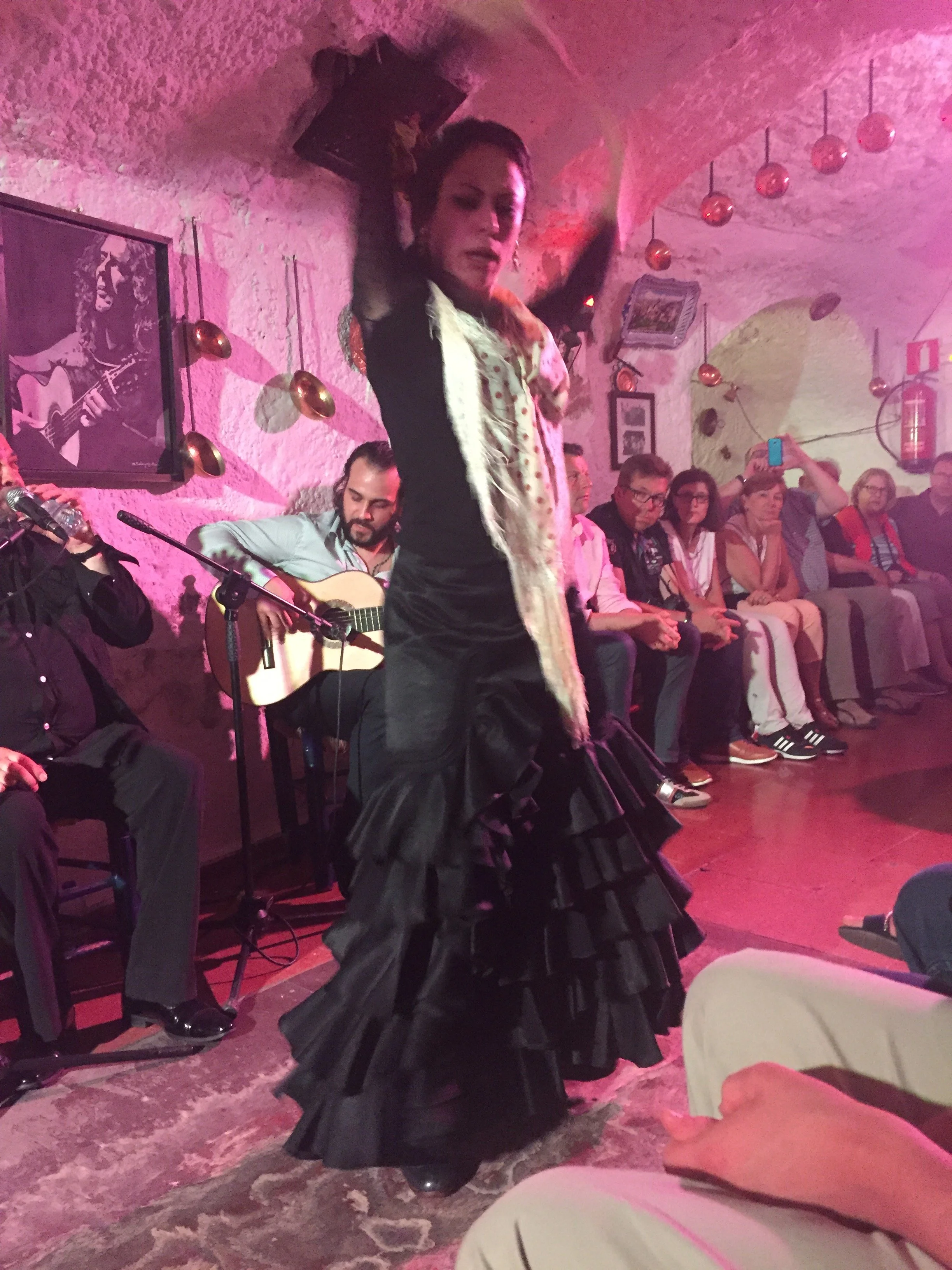 The Flamenco Show
