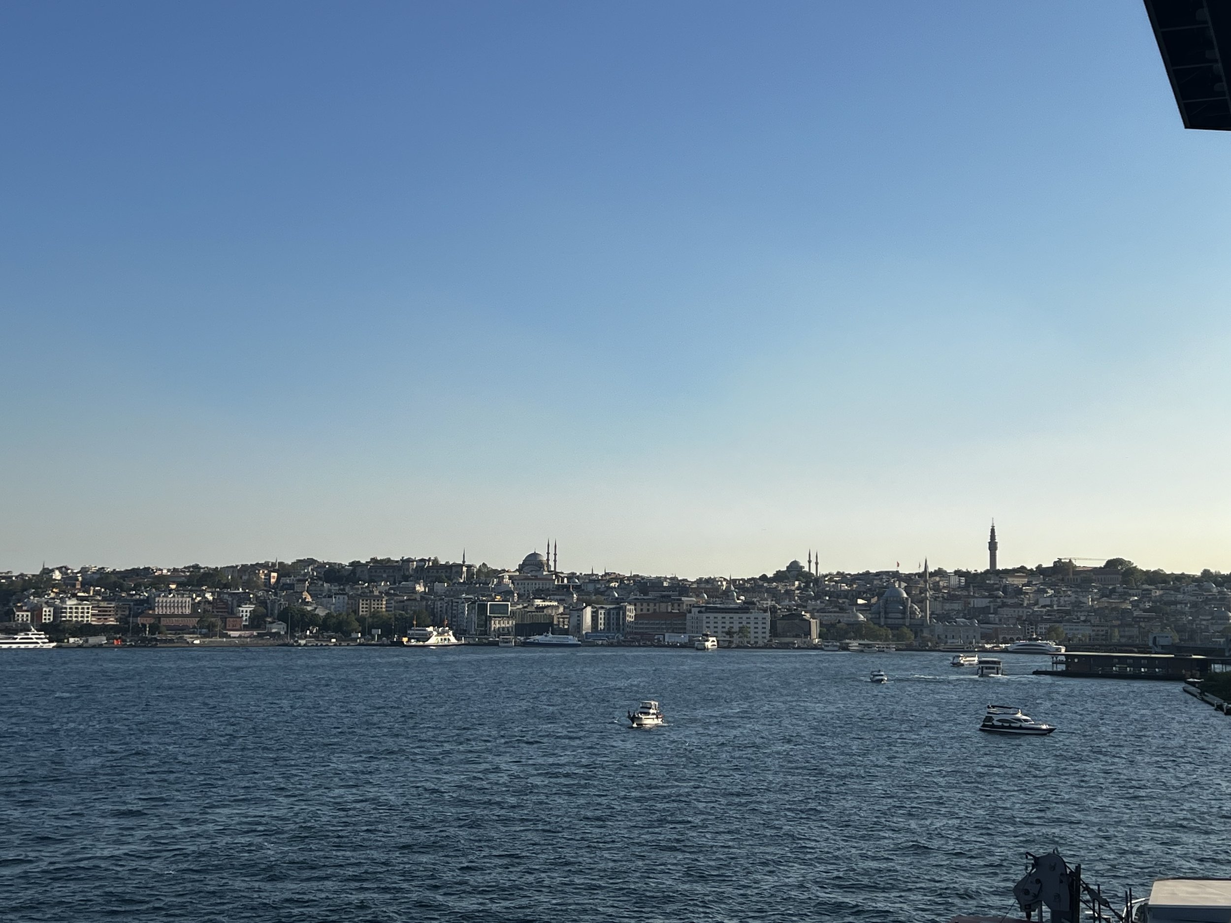 IMG_9635.jpg