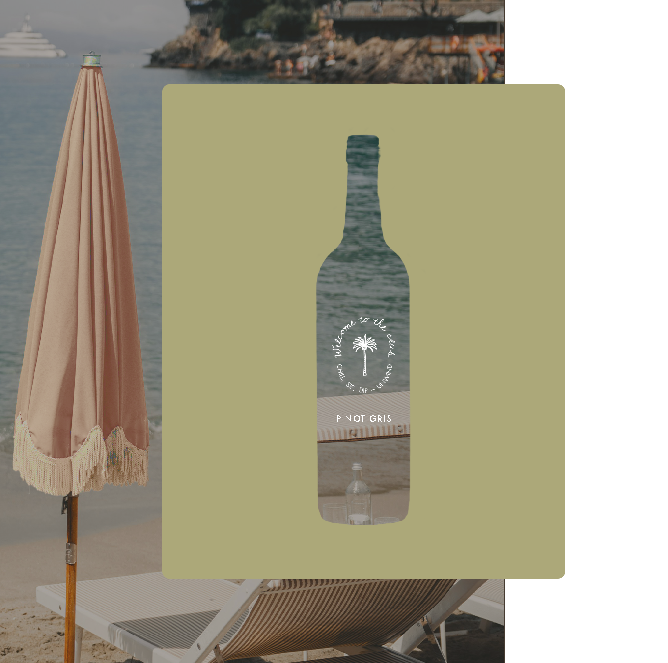 SD Primary Logo Shop Image.png