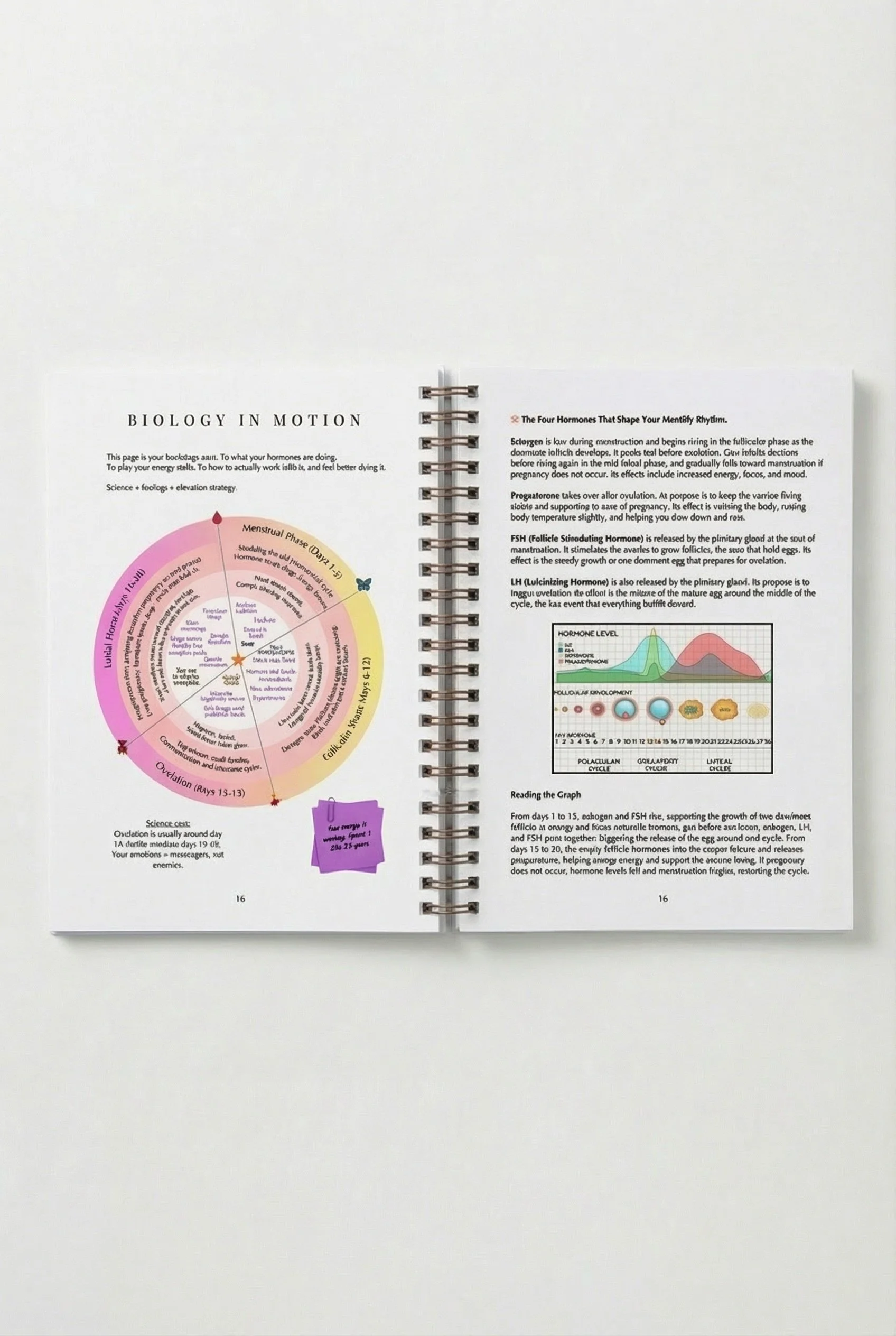 Maison Dea Science.jpg