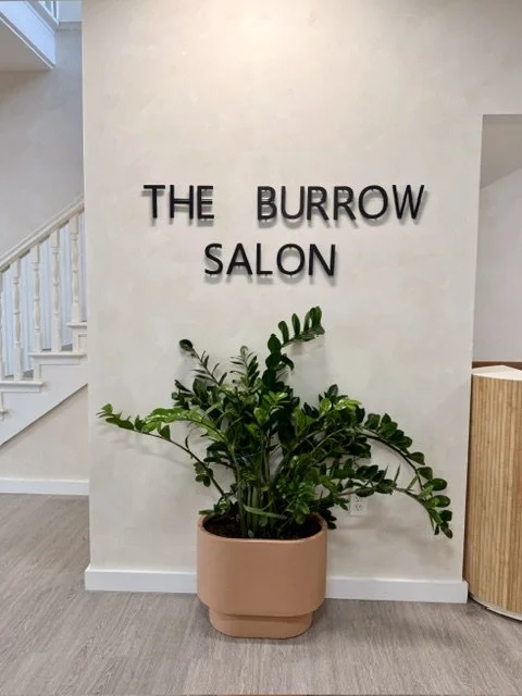 Sign reading "The Burrow Salon" on a white wall with a large green potted plant below it.