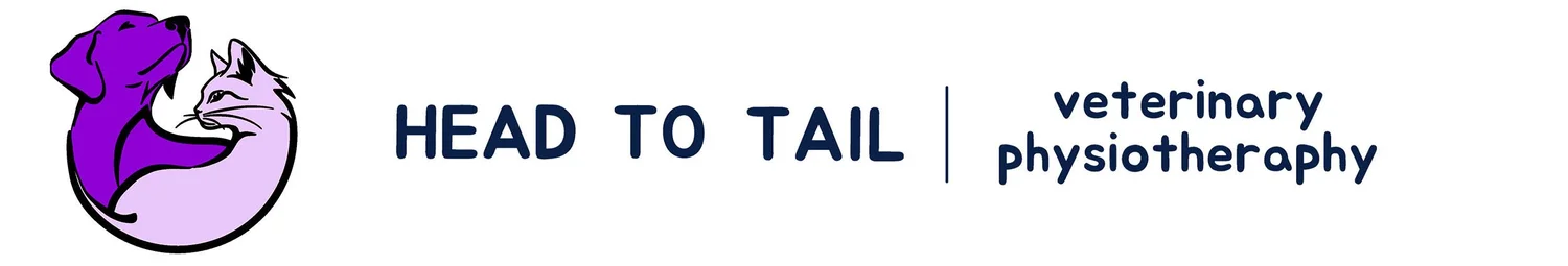 Head to Tail Veterinary Physiotherapy 