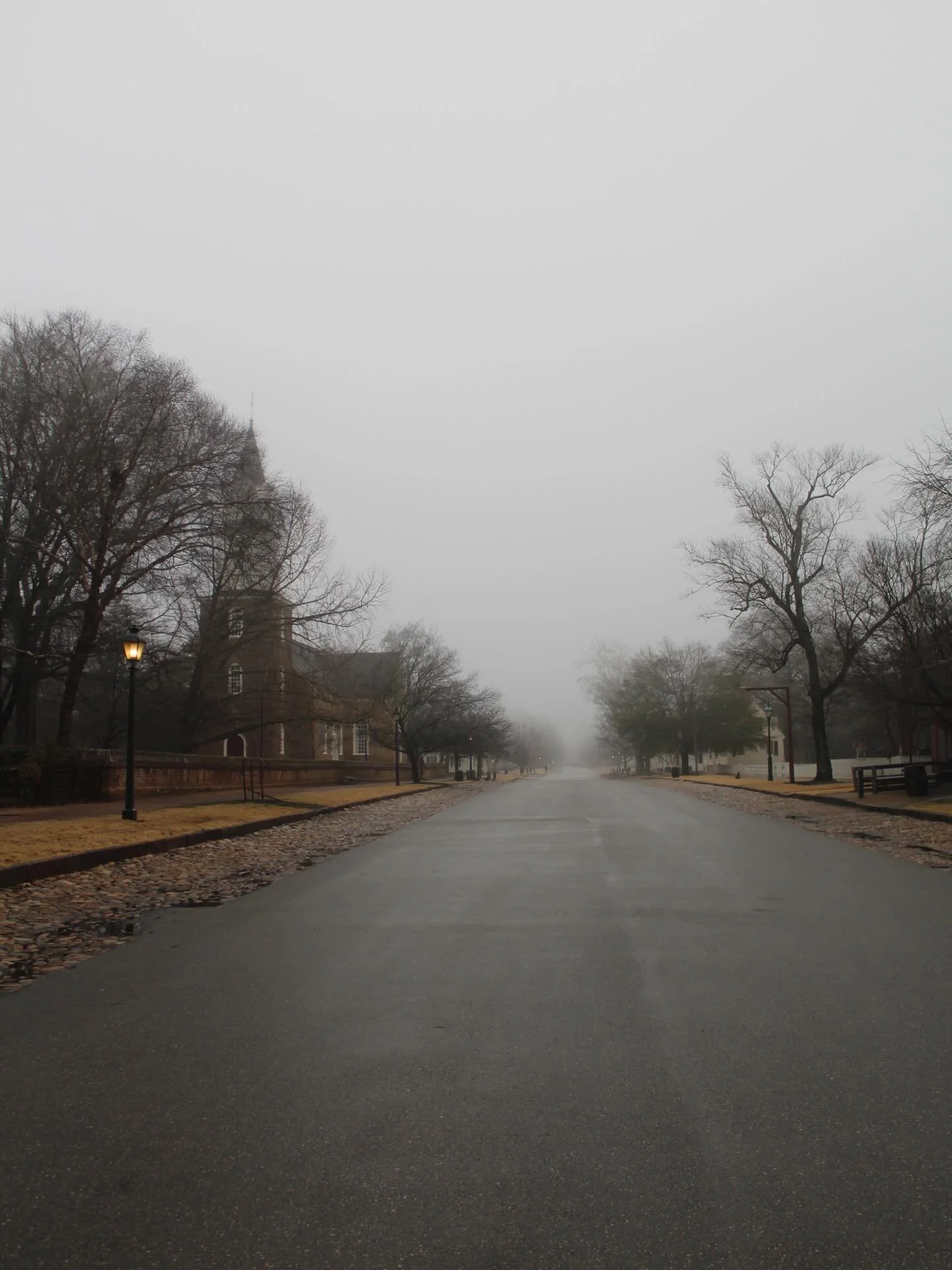 January: Scenes from Williamsburg

Yes, the world is on fire. It is more important than ever to lean in and stay engaged - watch the news, read the articles, and talk about it. It is heavy, complex, and traumatic, so find balance in joy, reflection, 