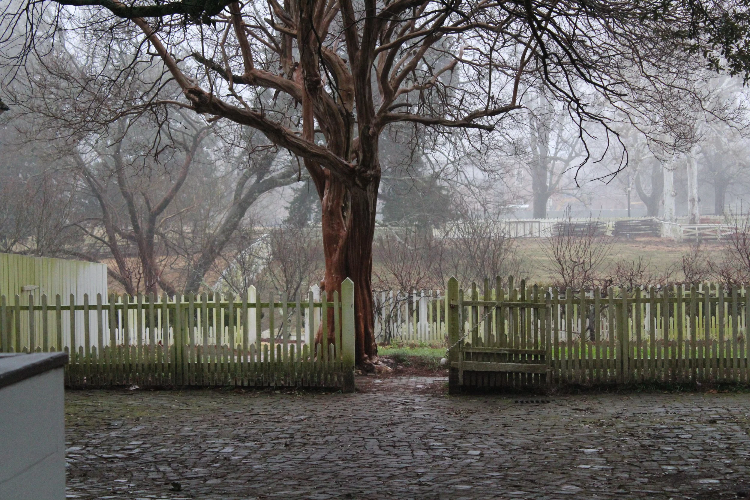 Counteracting ICE: What you can do?