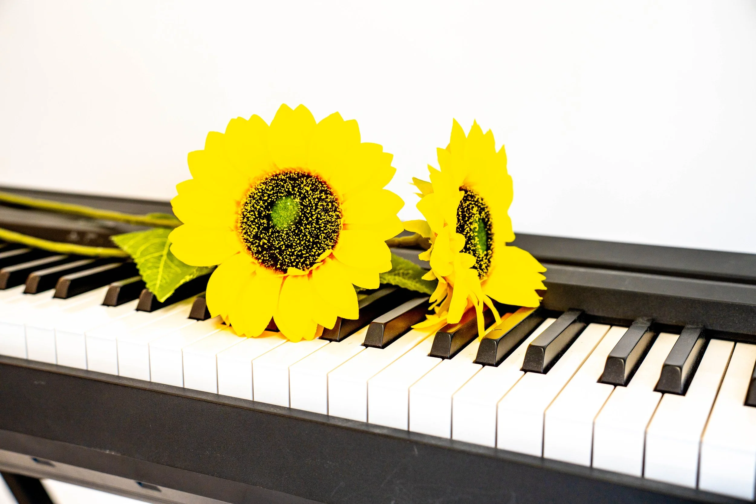 Welcome to Sunflower Songs! 