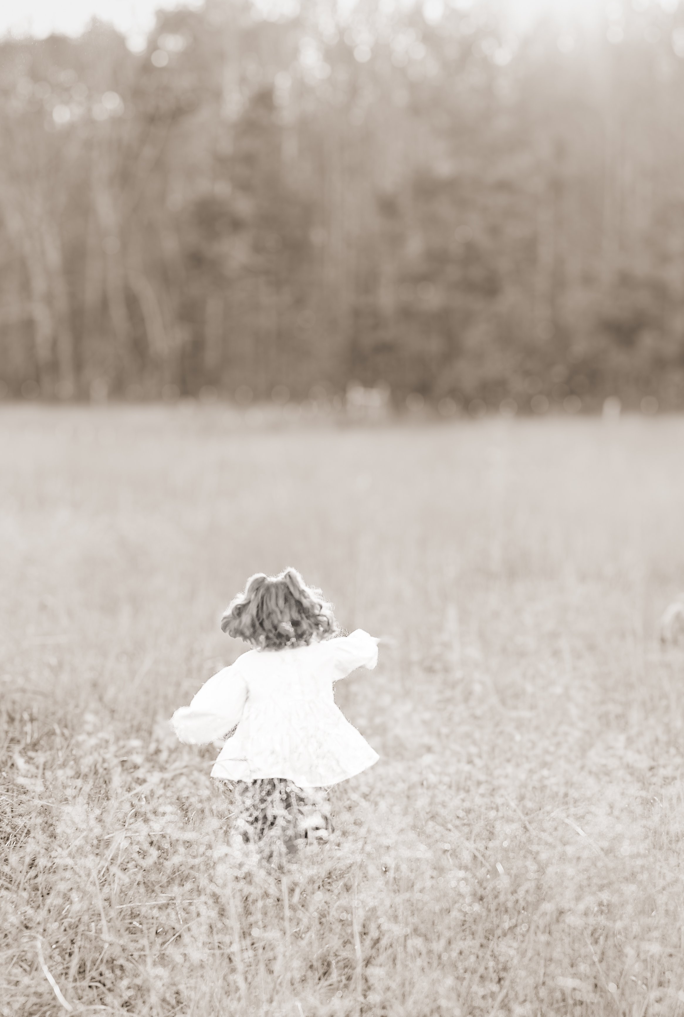 Why You Should Upload Large Photos From a Computer (Not Your Phone!)