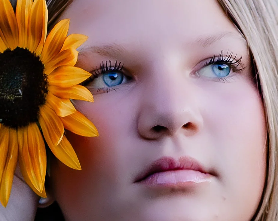 Sunflower photography in Northeast Alabama by Little River Lens Photography. 