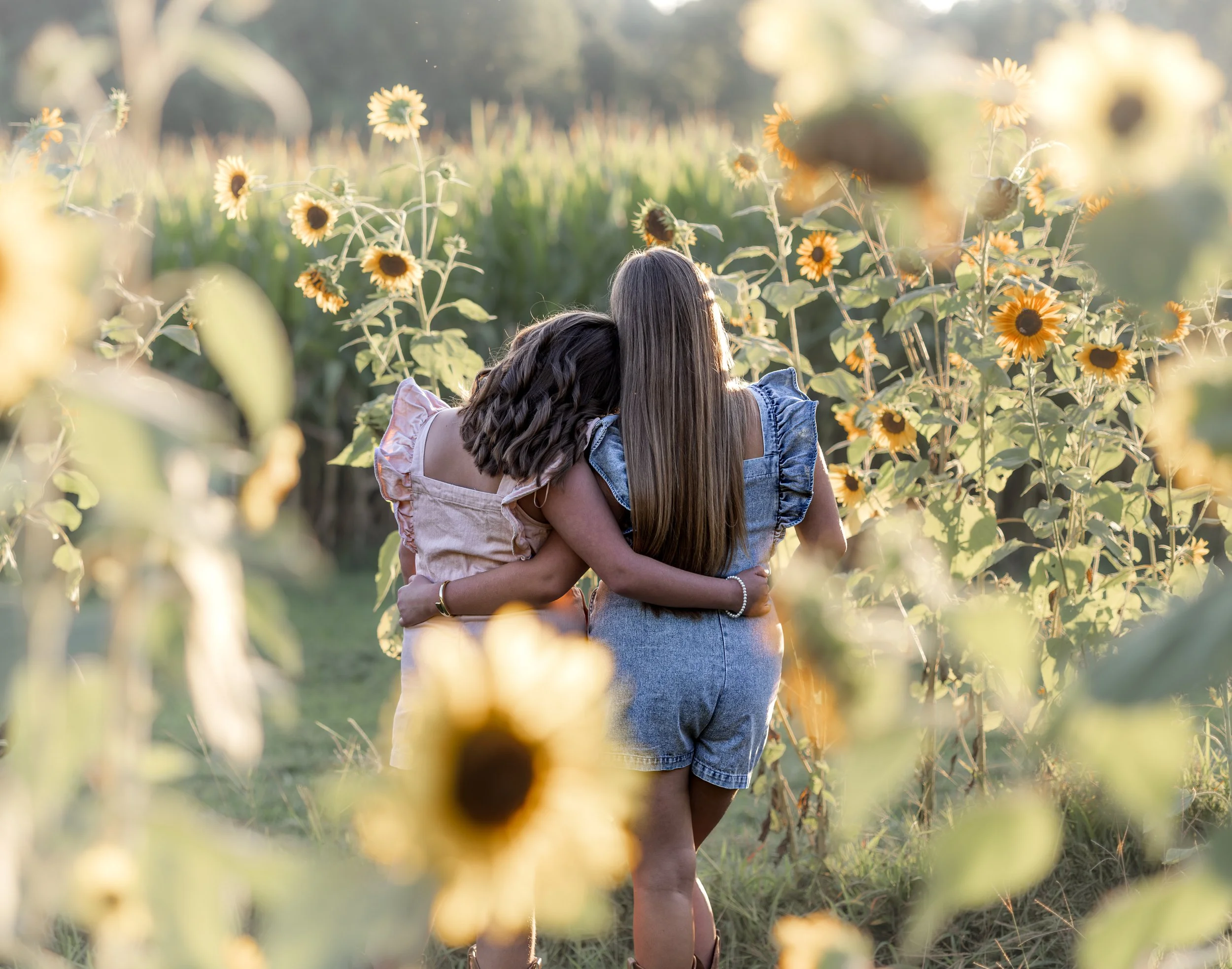 Sunflower mini sessions in Fort Payne, Alabama with Little River Lens Photography. 