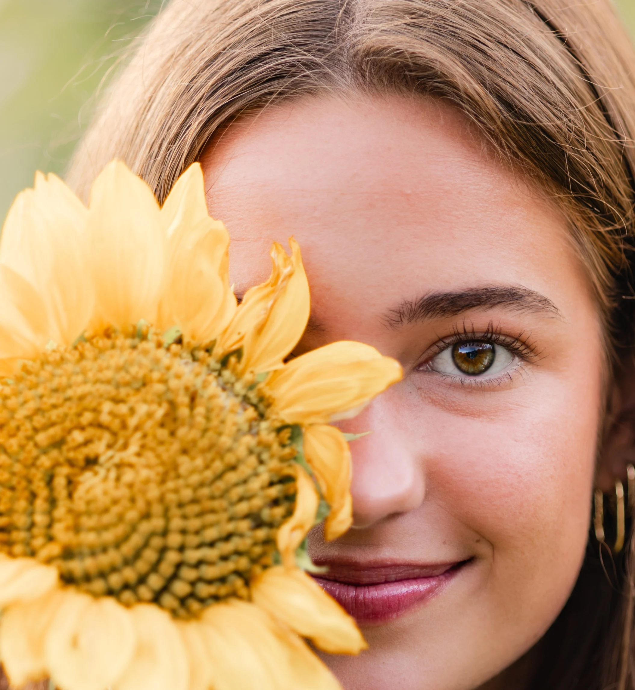 Sunflower picture in Fort Payne, AL Little River Lens LLC