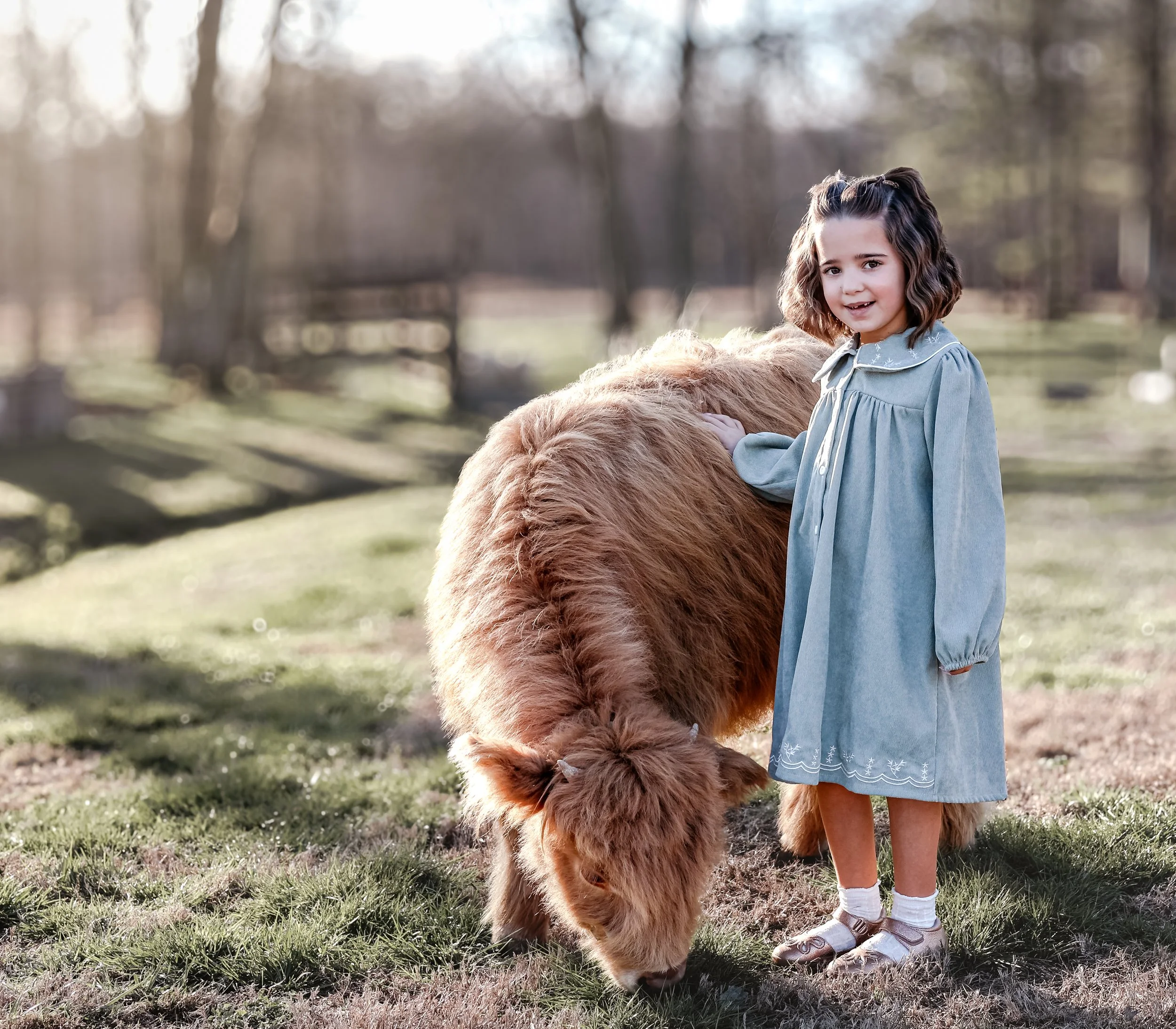 Highland Mini Cow Mini Session in Northeast Alabama by Little River Lens LLC. 