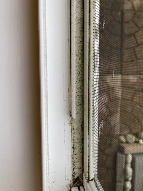 BEFORE - window transformation as part of our deep cleaning service (mind the gaps!)