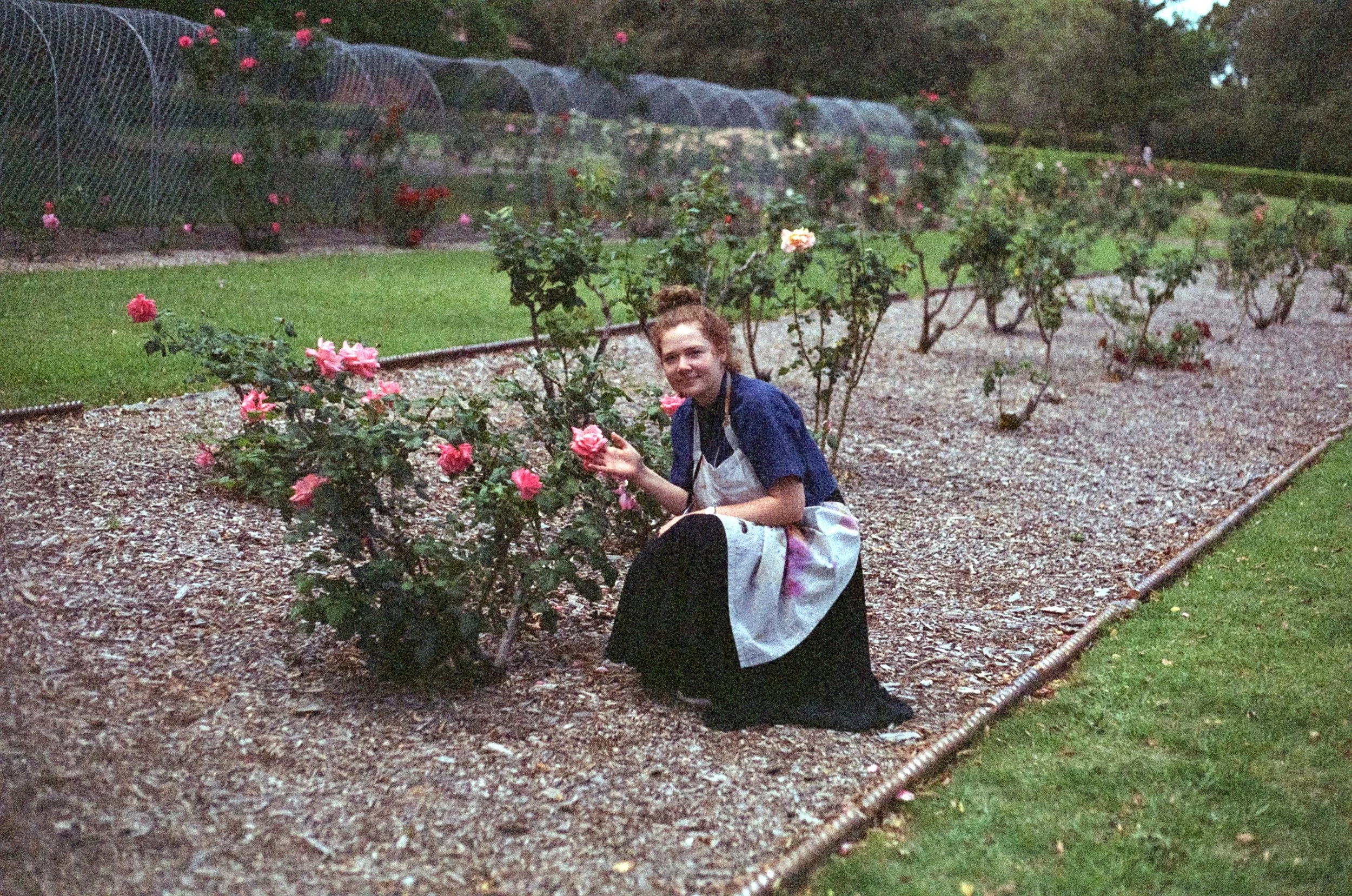 A young girl with brown hair in a bun, dressed in black and a white apron, is kneeling on a walking path in a garden, holding pink roses from a rose bush.