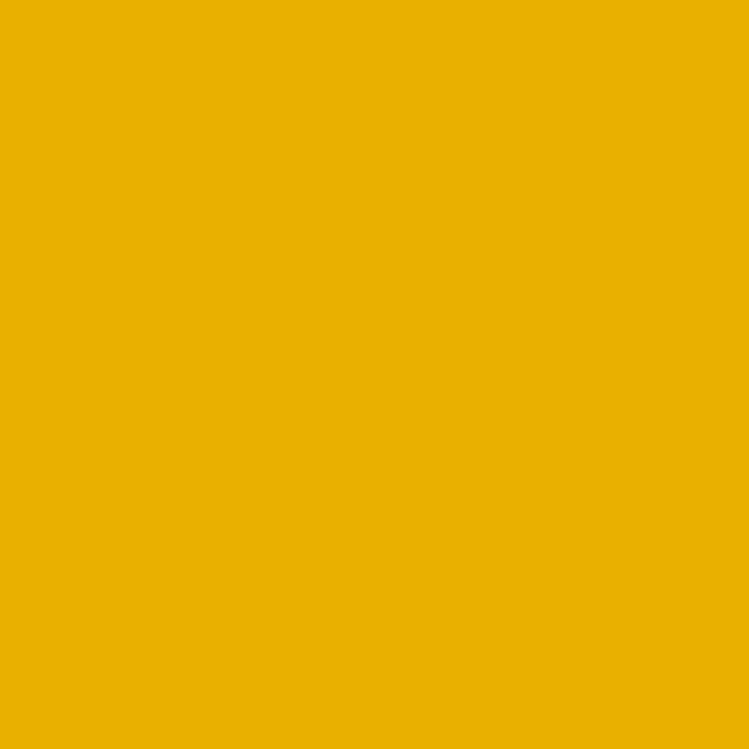 Yellow 1.png