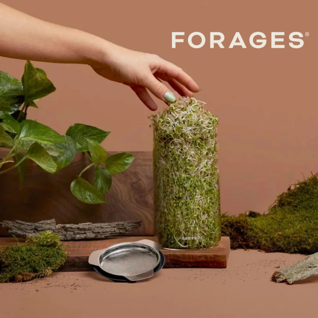 🇨🇦 Forages