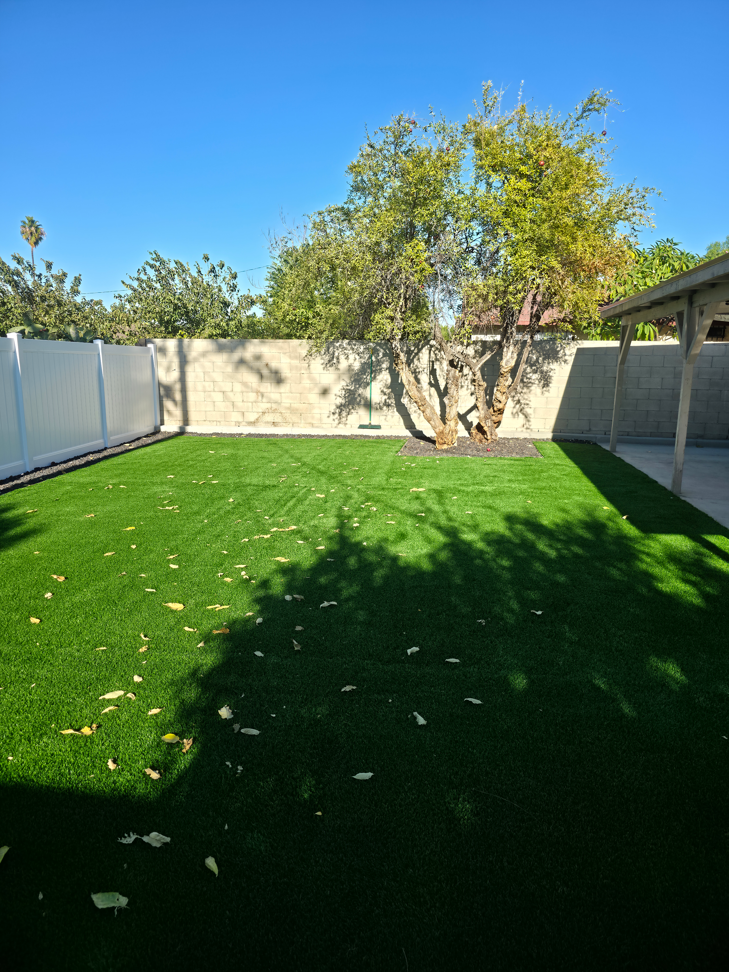 Keishan Backyard After.png
