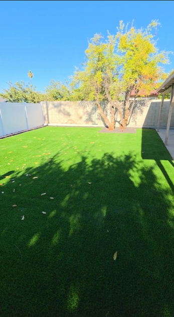 Same backyard after: artificial turf, clean edges, tree kept