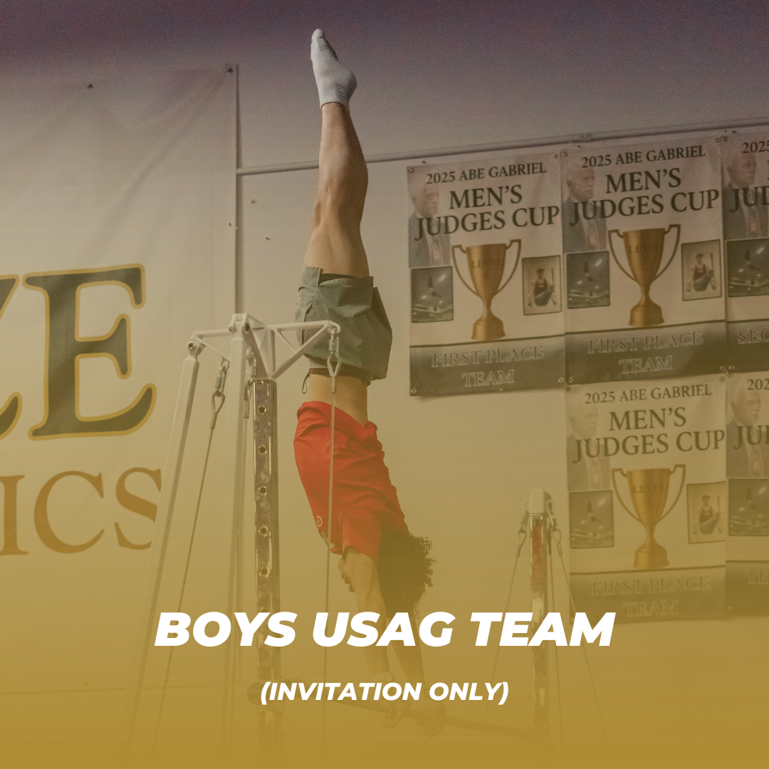 Blaze Gymnastics offers a competitive boys program through USA Gymnastics that spans beginner to elite levels for athletes ages 6 to 18. Our team trains and competes under the Men’s Development Program (Levels 3–10) as well as the new Club Program, w