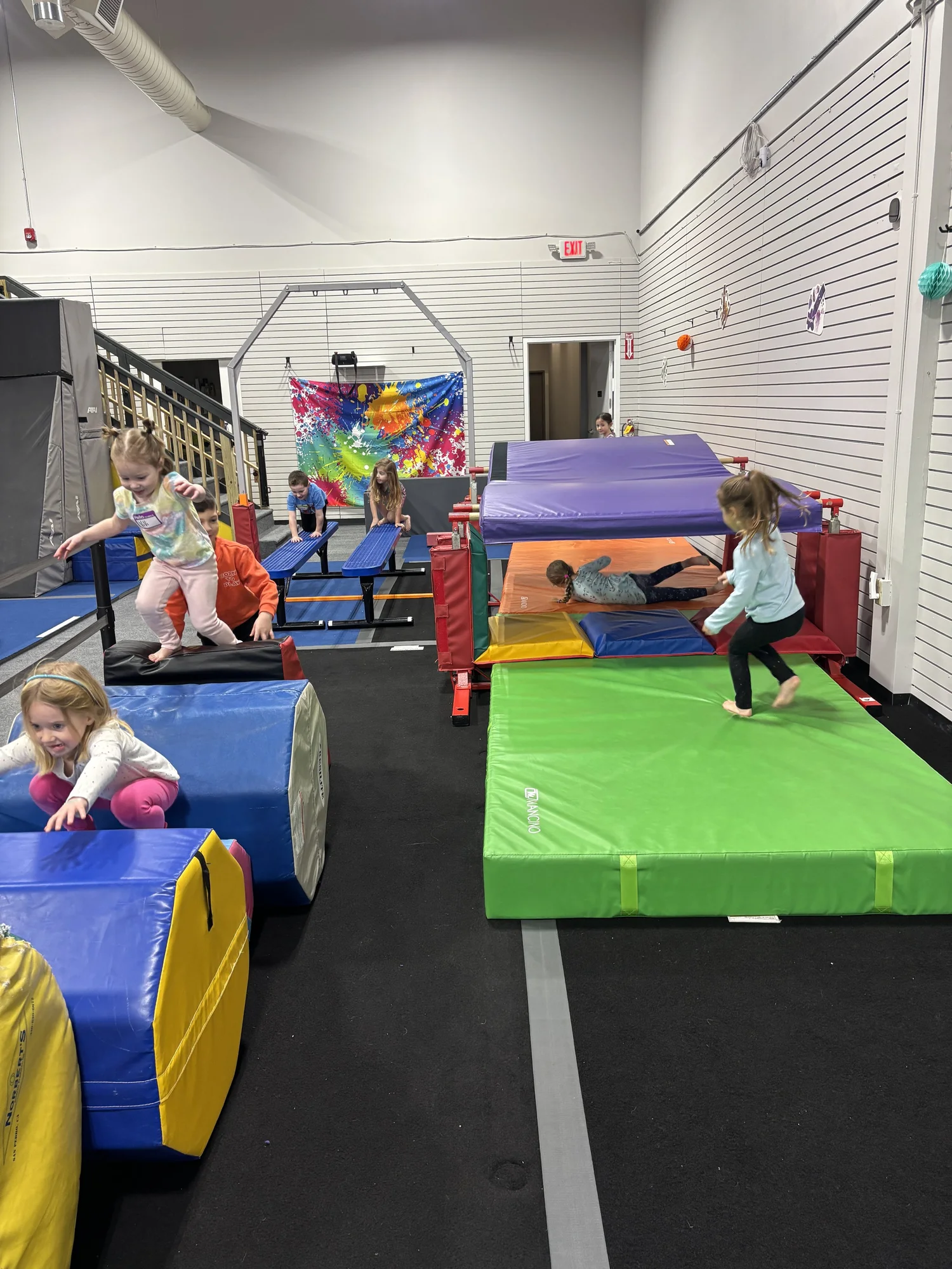 Children enjoying gymnastics equipment during a Blaze Gymnastics birthday party