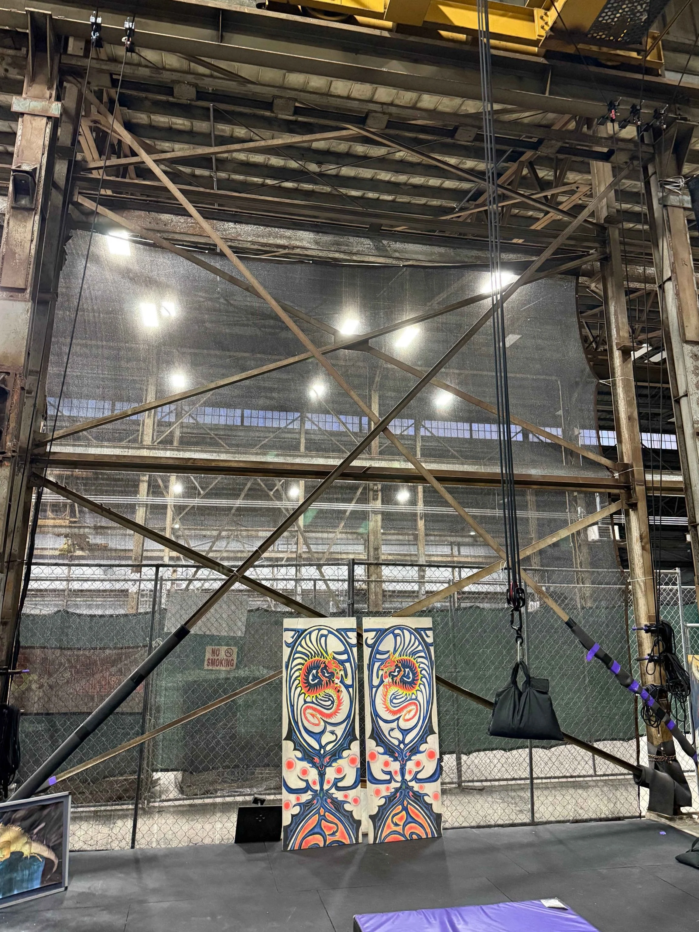 Skyhigh Odditorium gym and facility